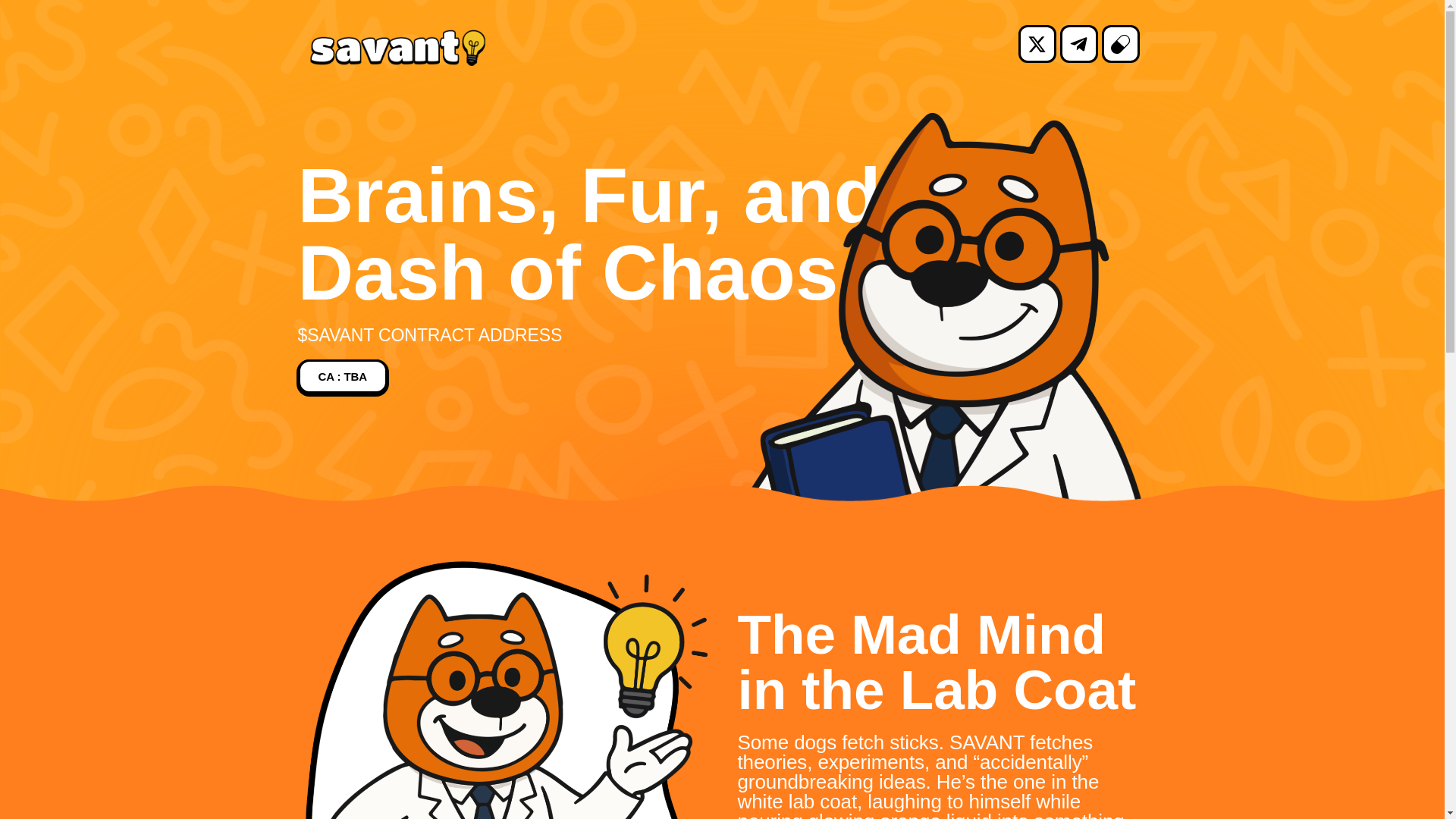website screenshot of https://savantspl.top/