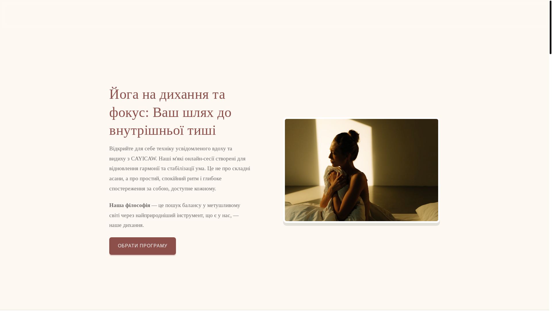 website screenshot of https://cayicaw.world/