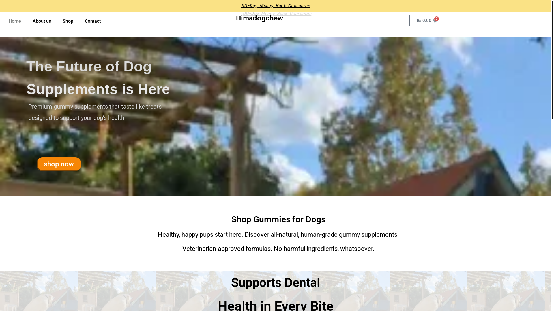 website screenshot of https://himadogchew.com/