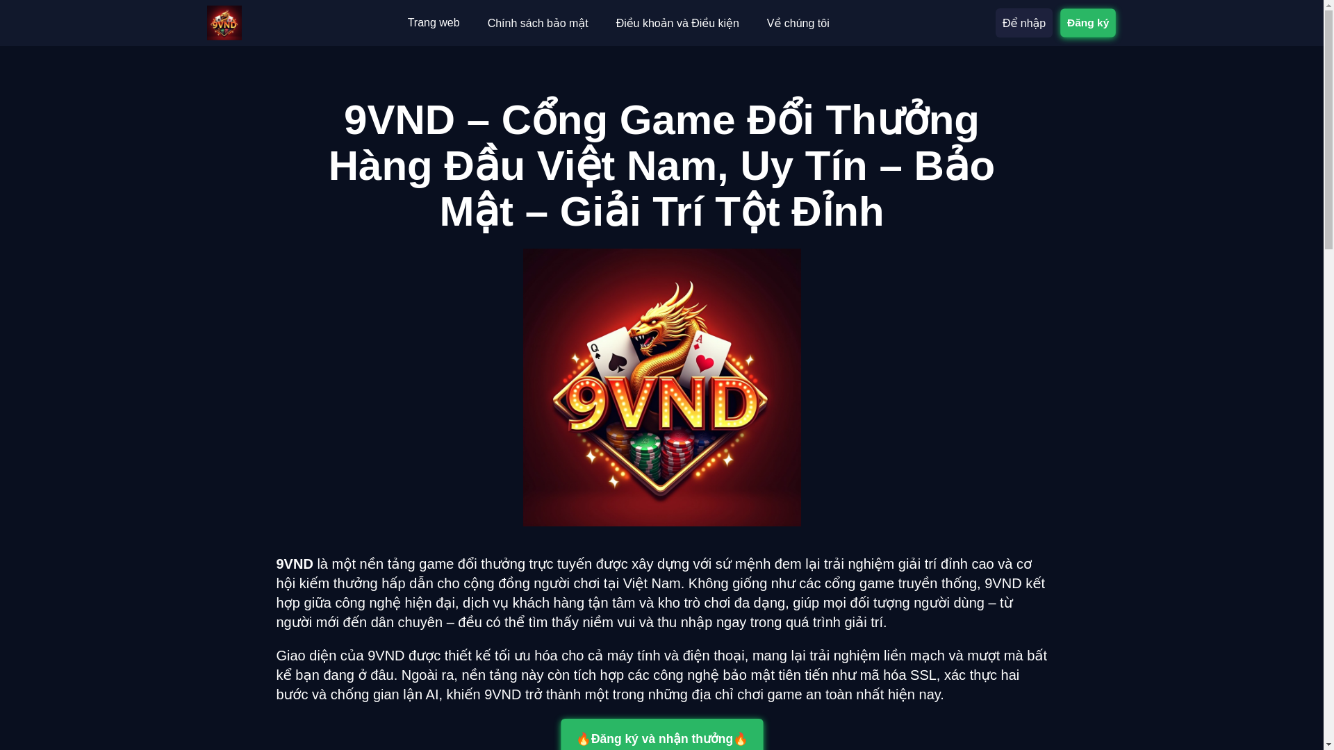 website screenshot of https://9vnd.fyi/