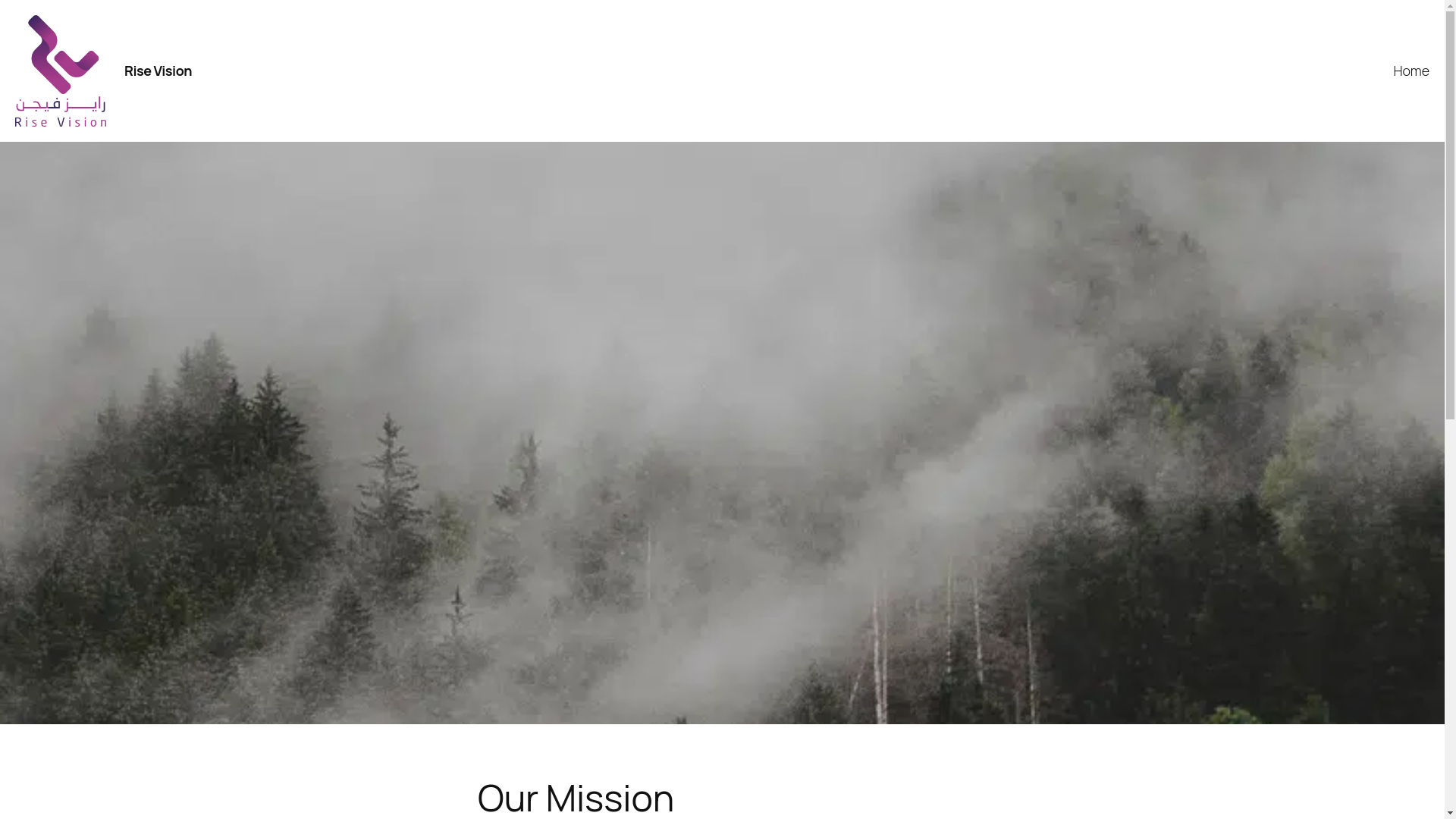 website screenshot of https://risevision.sa/