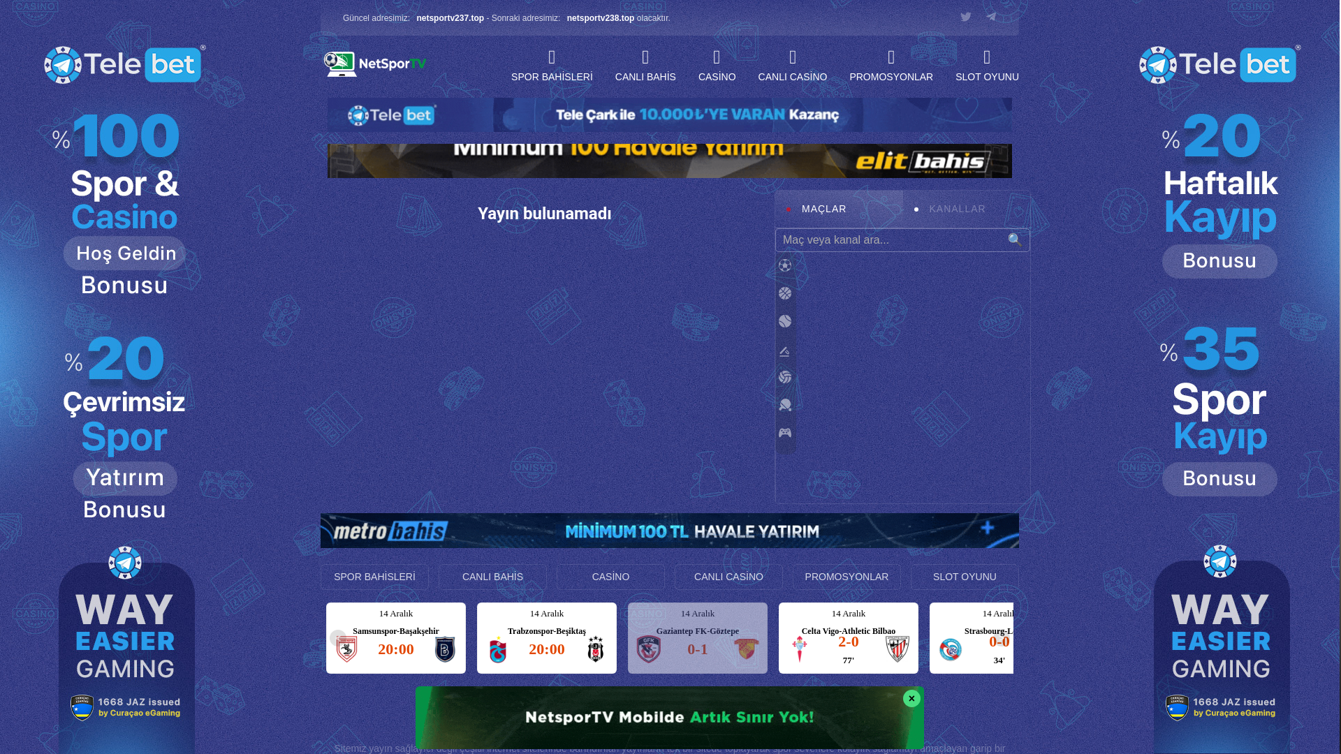 website screenshot of https://netsportv237.top/