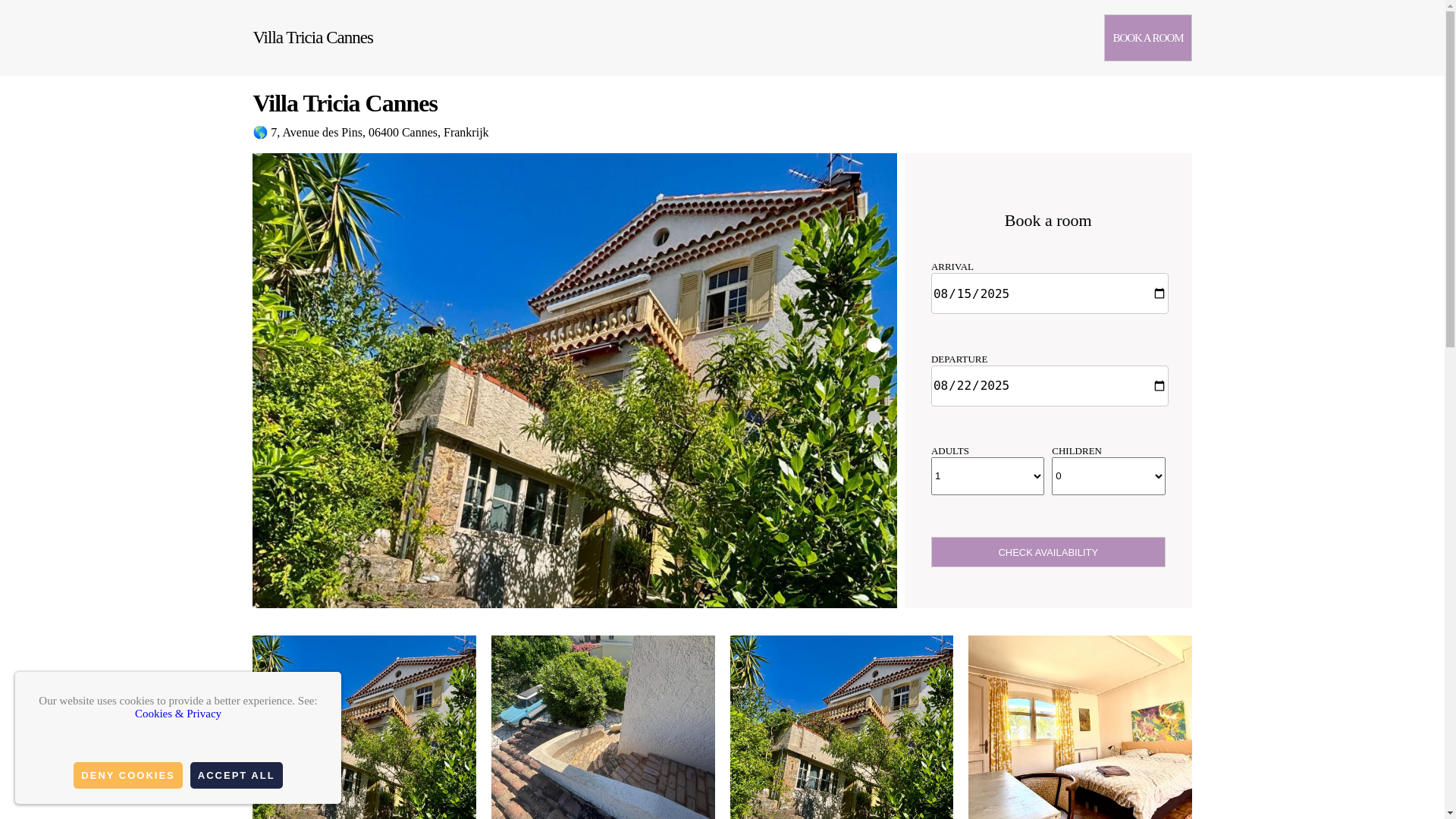 website screenshot of https://villa-tricia-cannes.com.es/