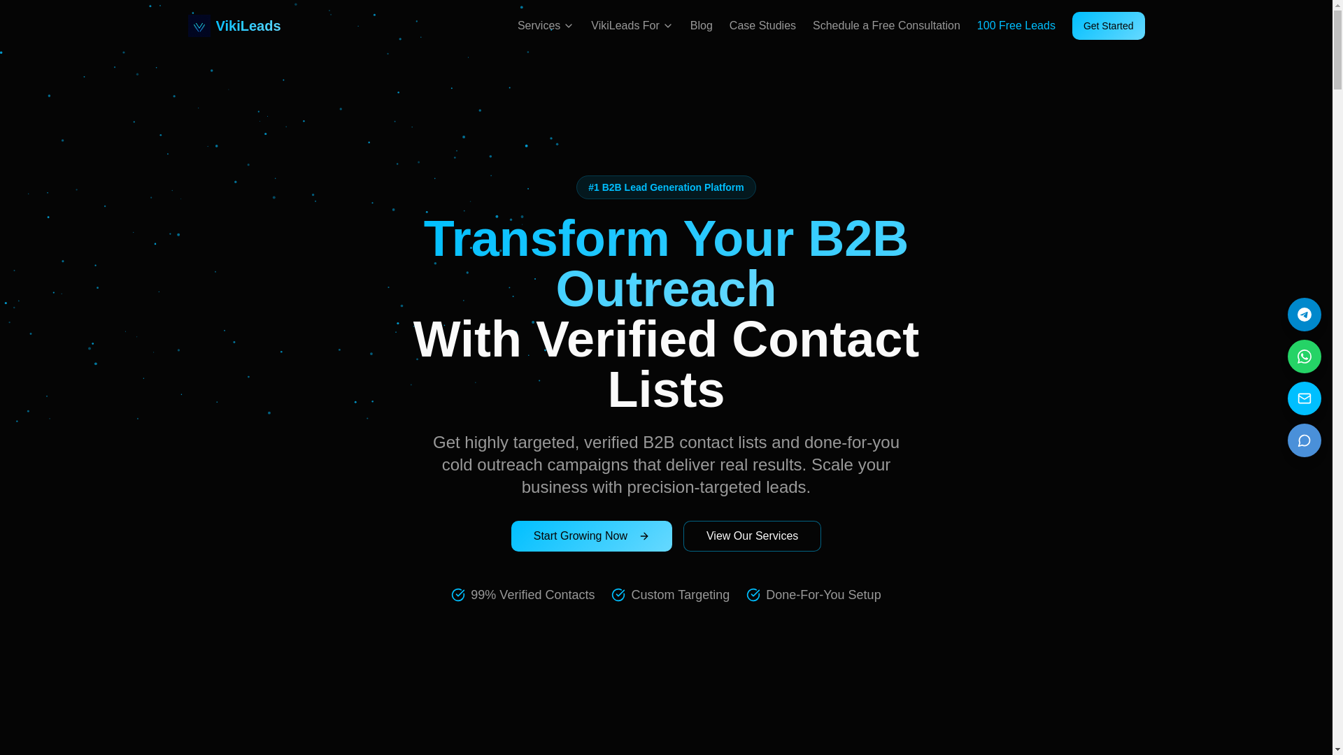 website screenshot of https://vikileadspioneer.com/