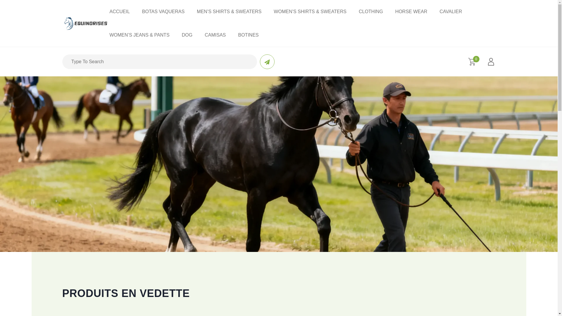 website screenshot of https://equinorises.com/