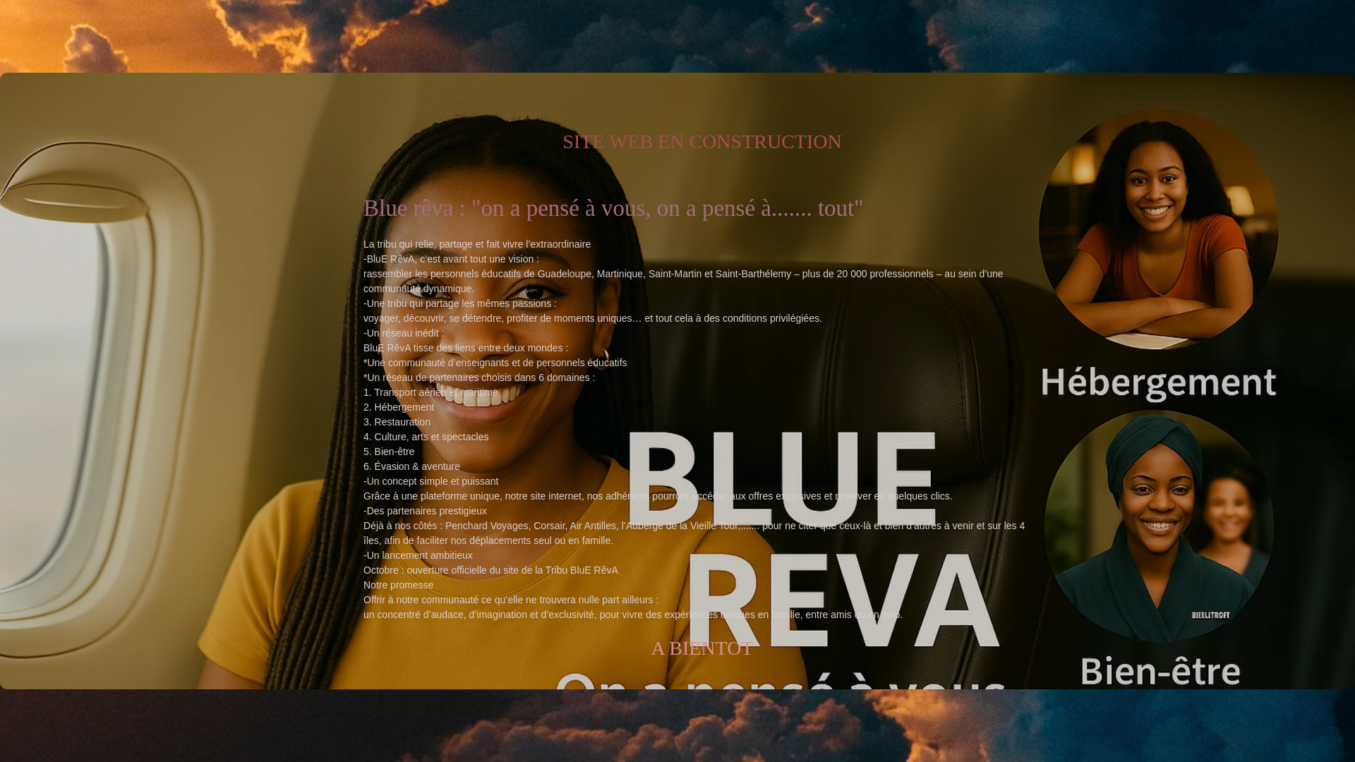 website screenshot of https://bluereva.fr/