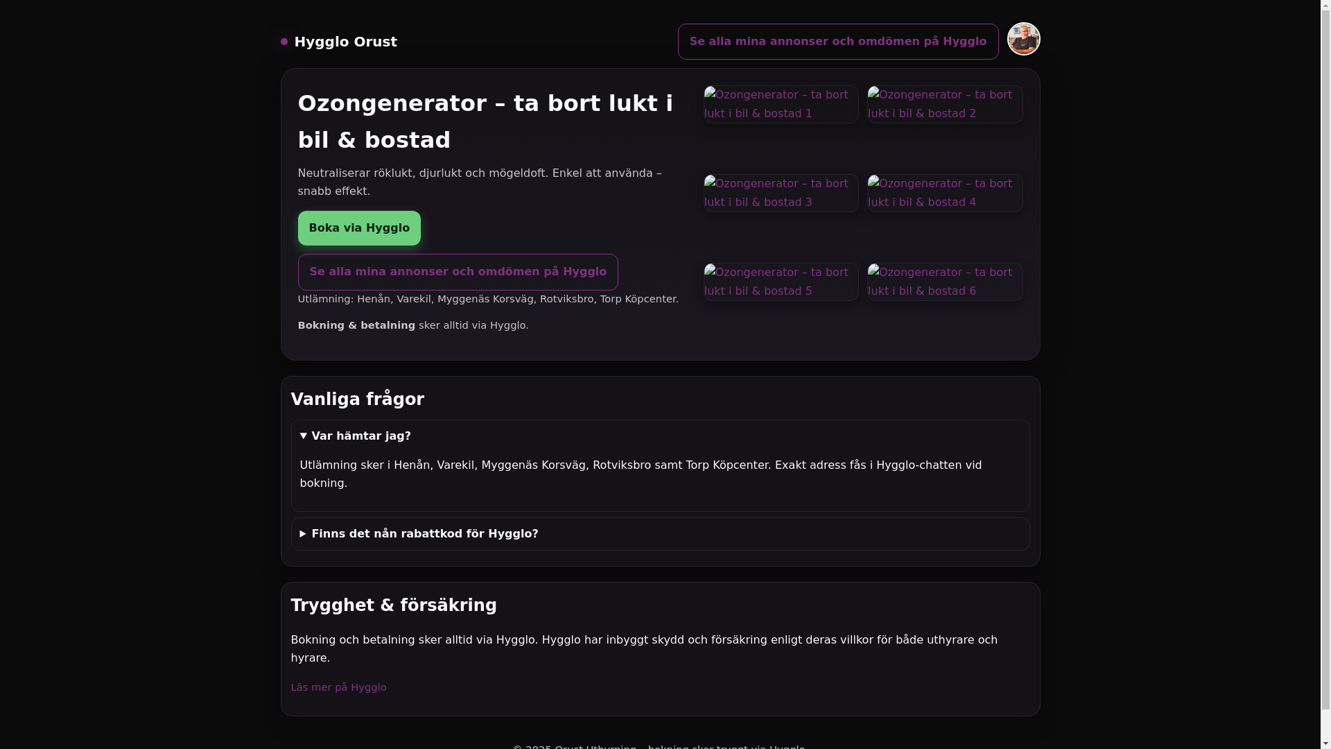 website screenshot of https://ozongenerator-oru-st.pages.dev/