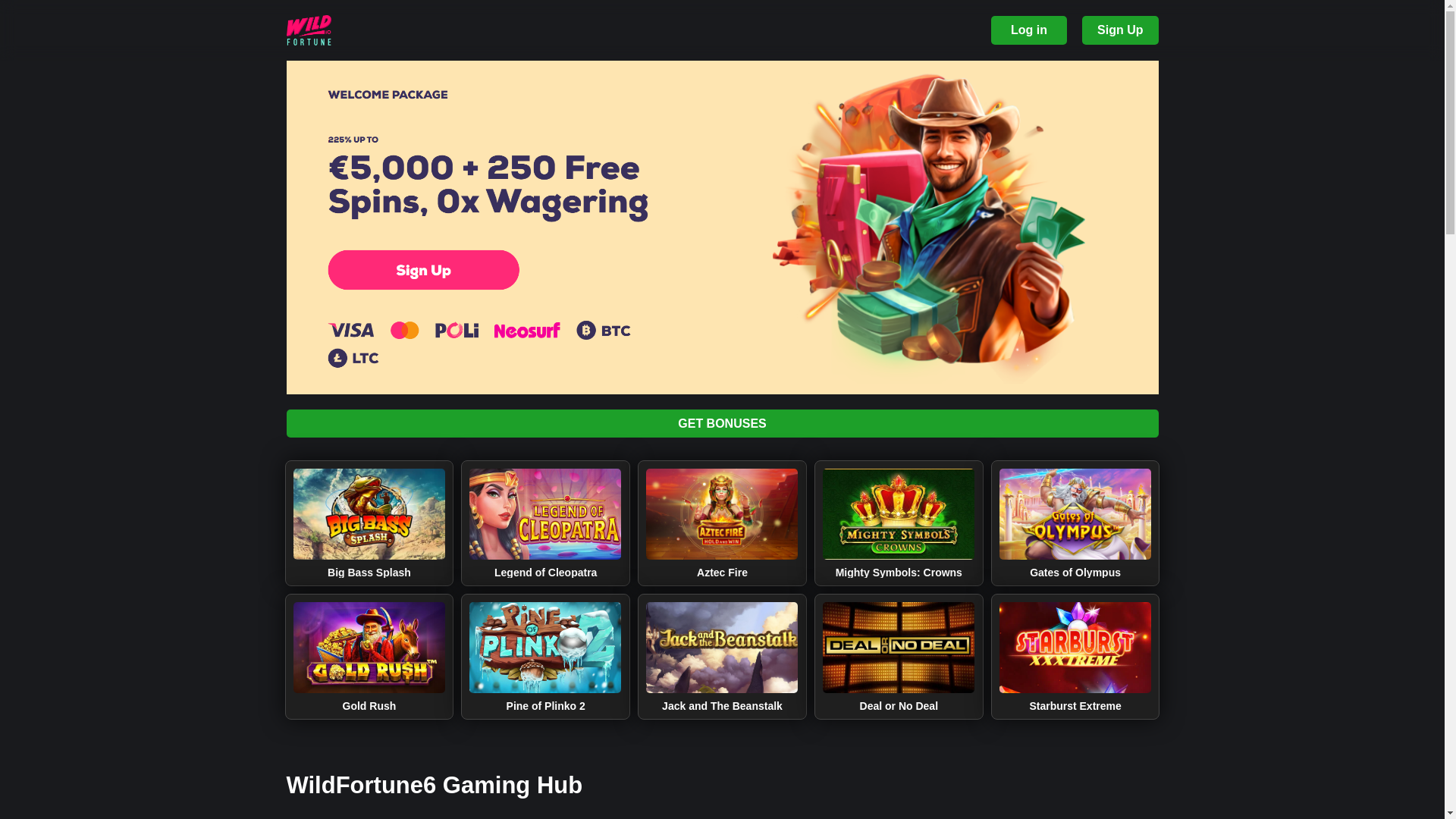 website screenshot of https://wildfortune6.org/
