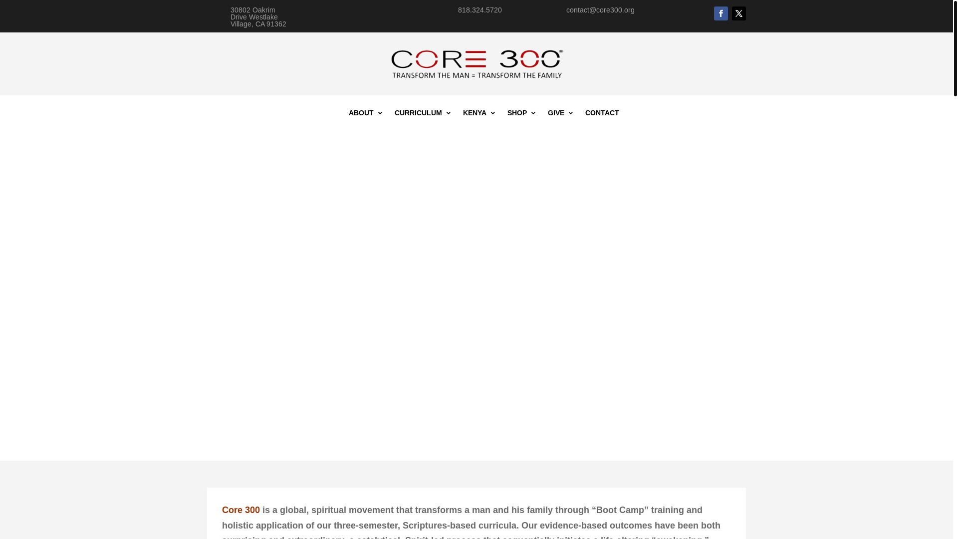 website screenshot of https://art@core300.org/