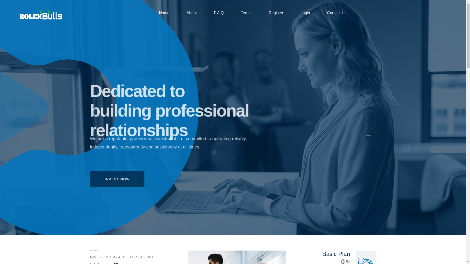 website screenshot of https://rolexbull.com/