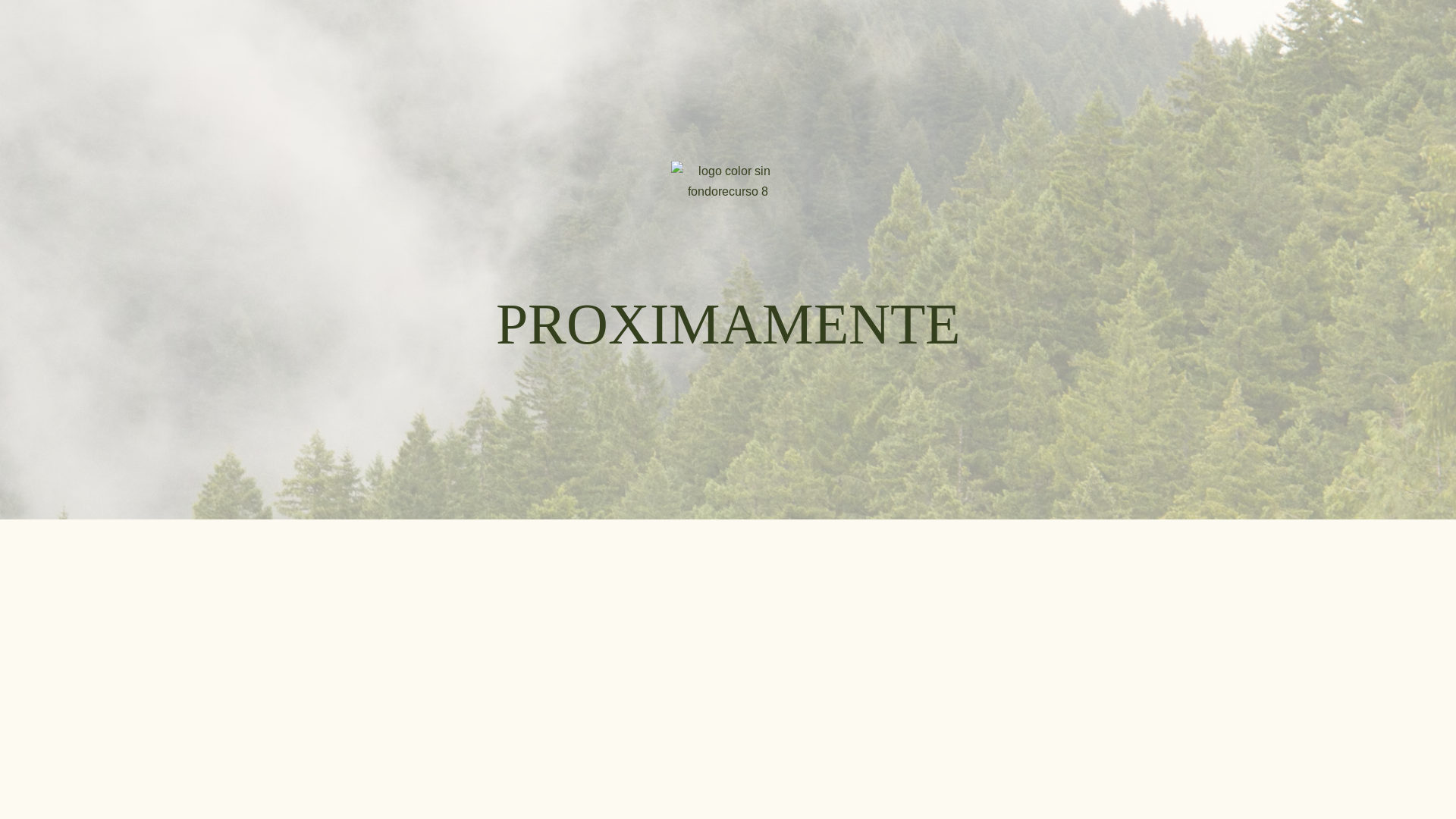website screenshot of https://ceciliacartes.cl/