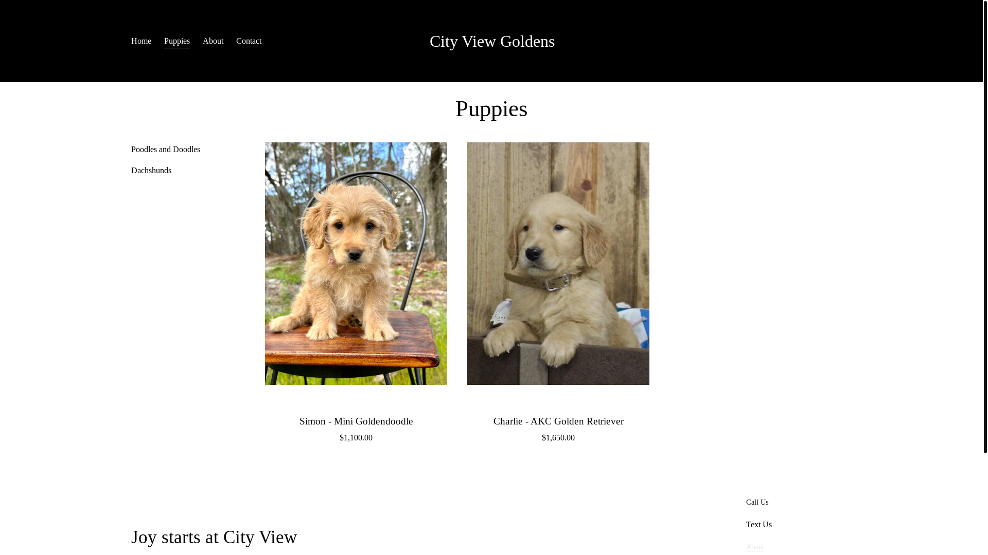 website screenshot of https://cityviewgoldens.com/