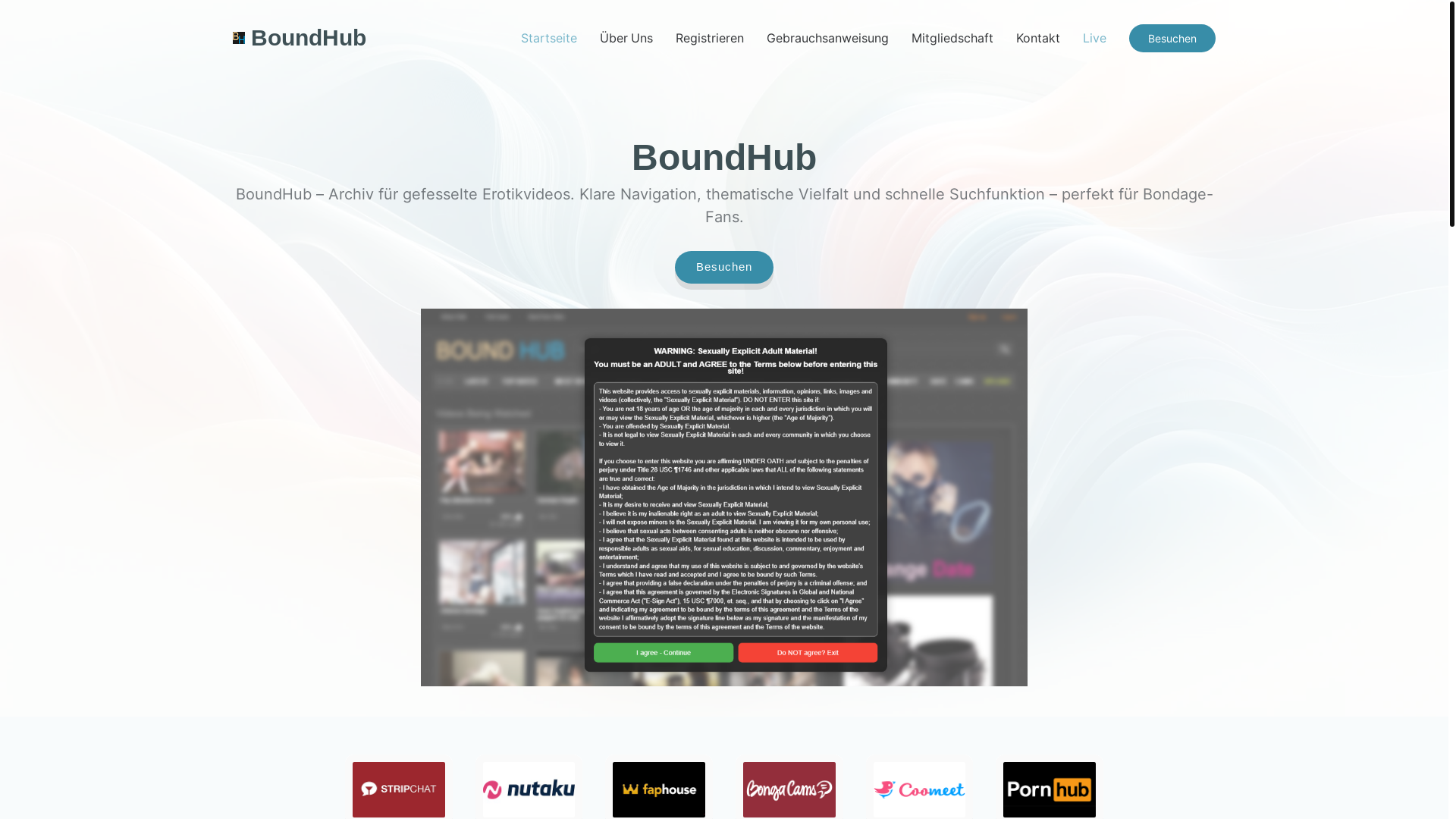 website screenshot of https://boundhub-german.com/