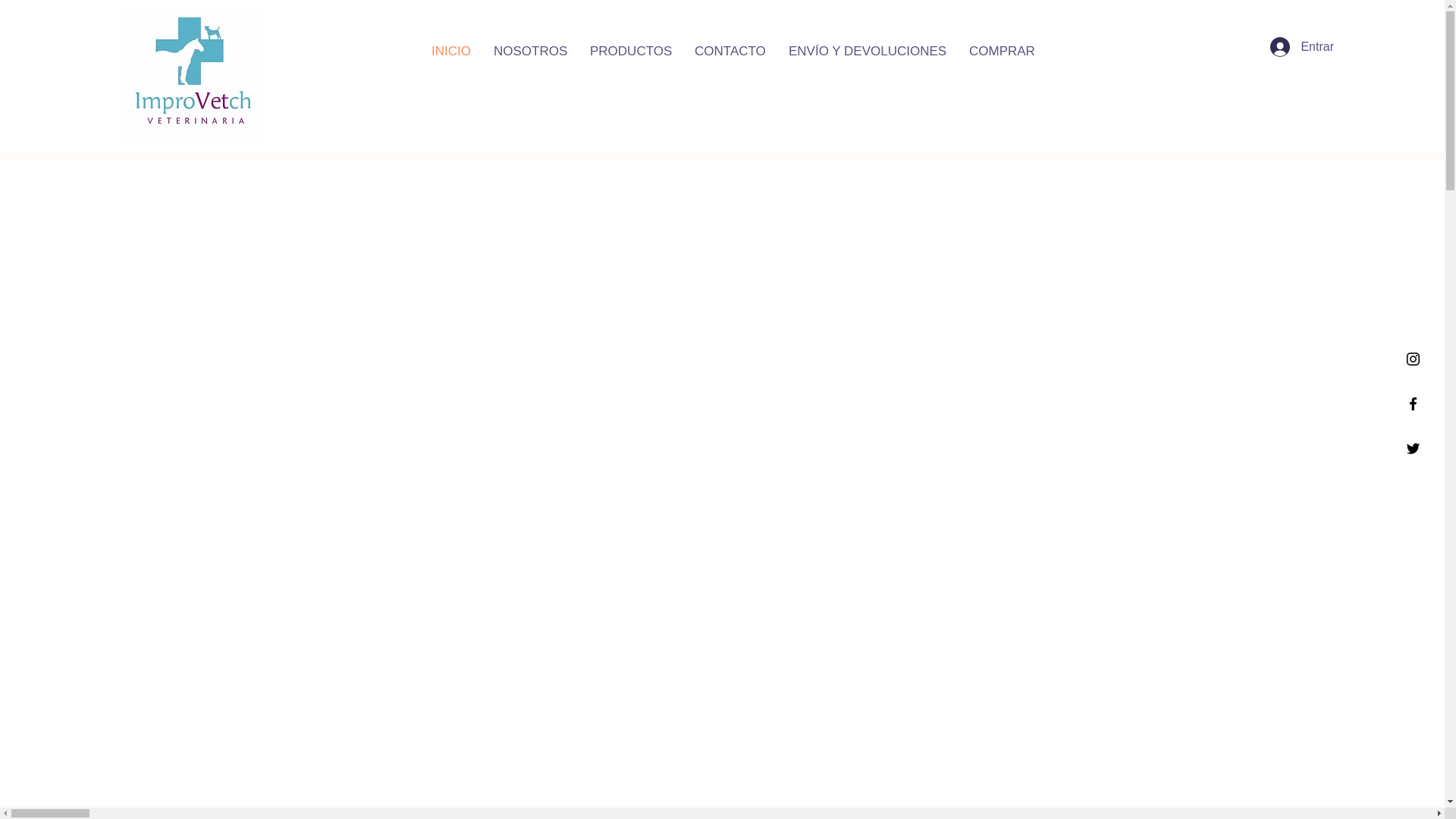 website screenshot of https://improvet.cl/