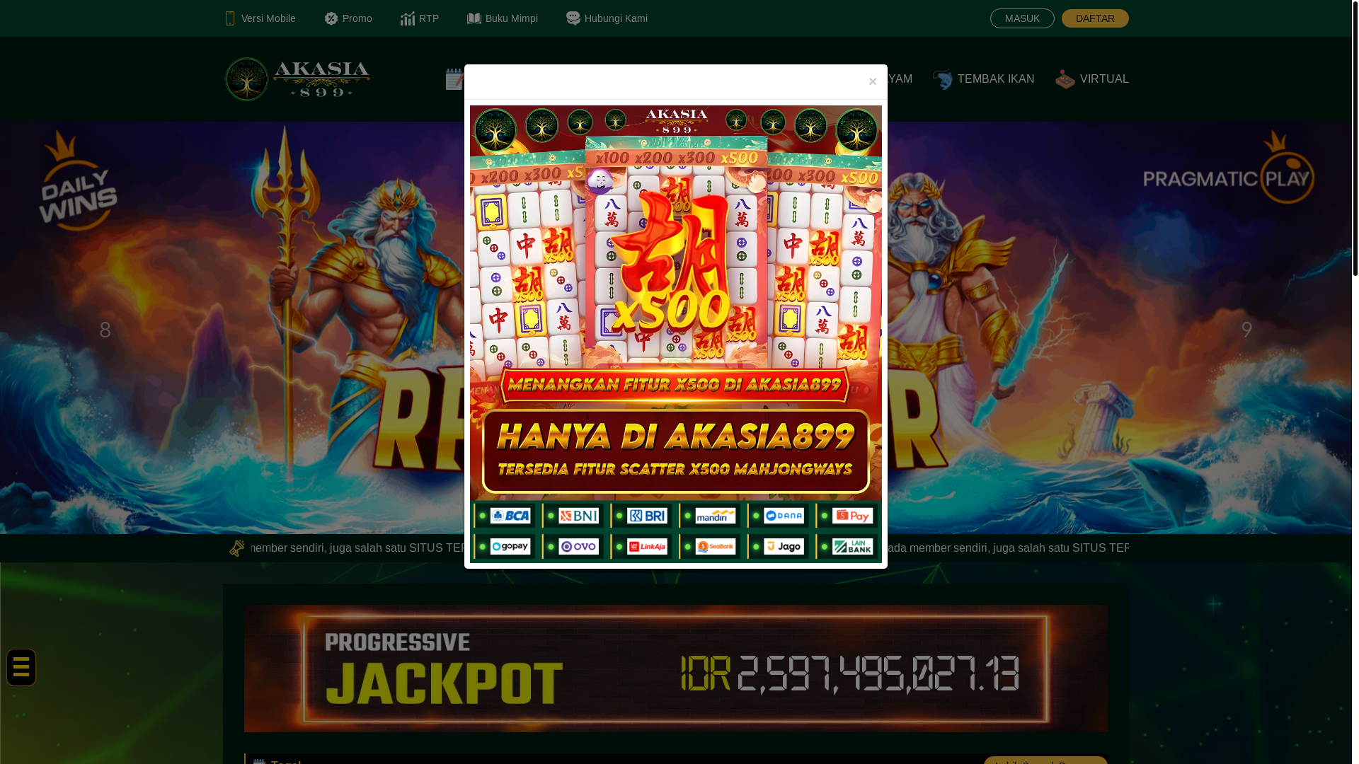 website screenshot of https://hapusaka.space/