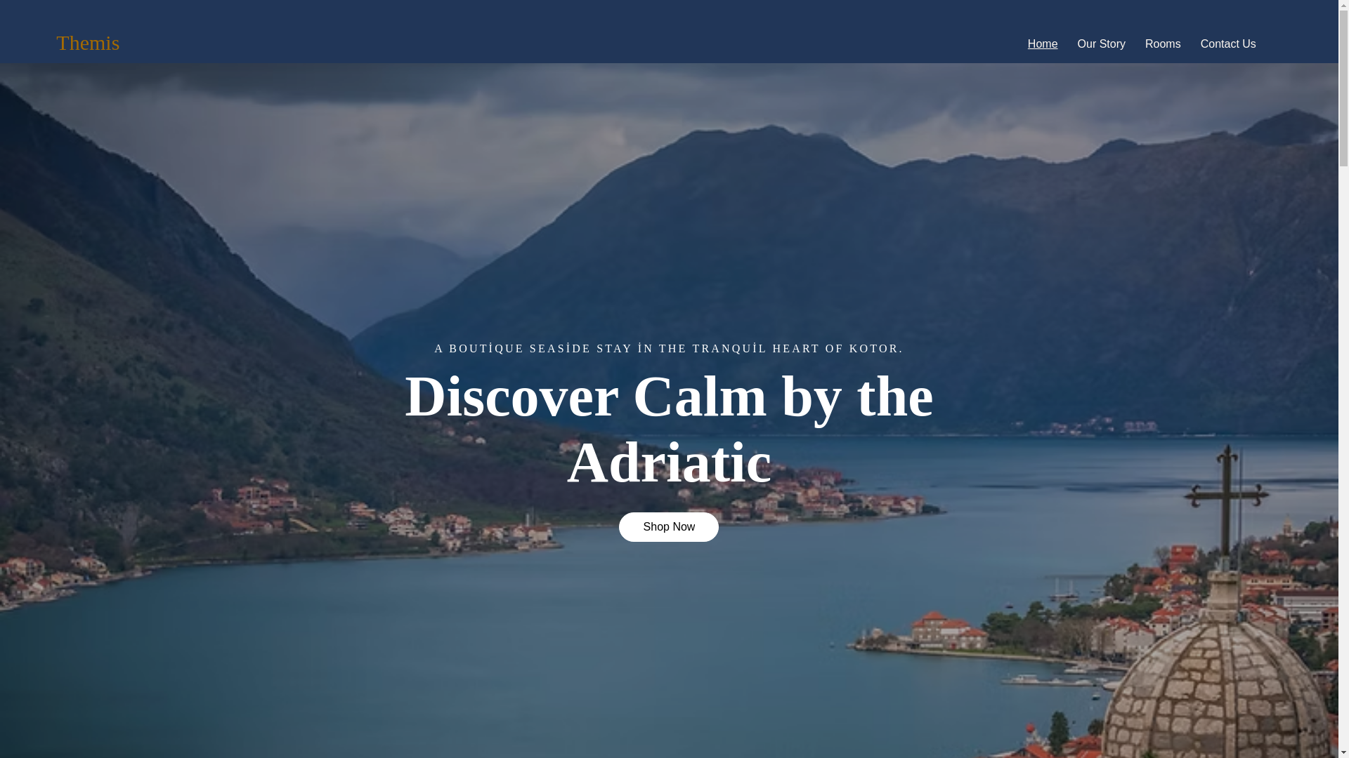 website screenshot of https://themisapartment.com/