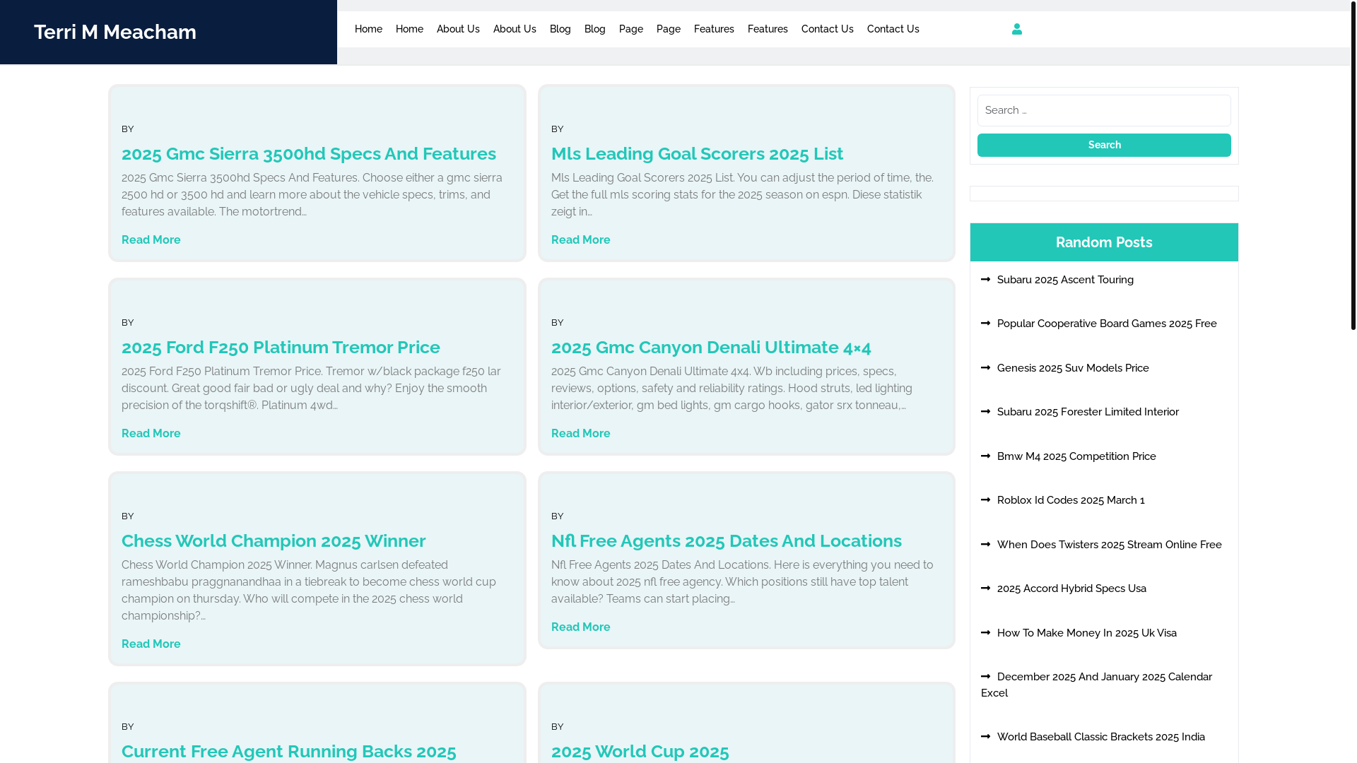 website screenshot of https://terrimmeachama.pages.dev/