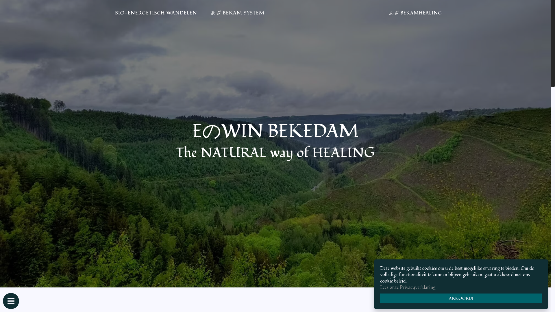 website screenshot of https://www.bekamhealing.com/