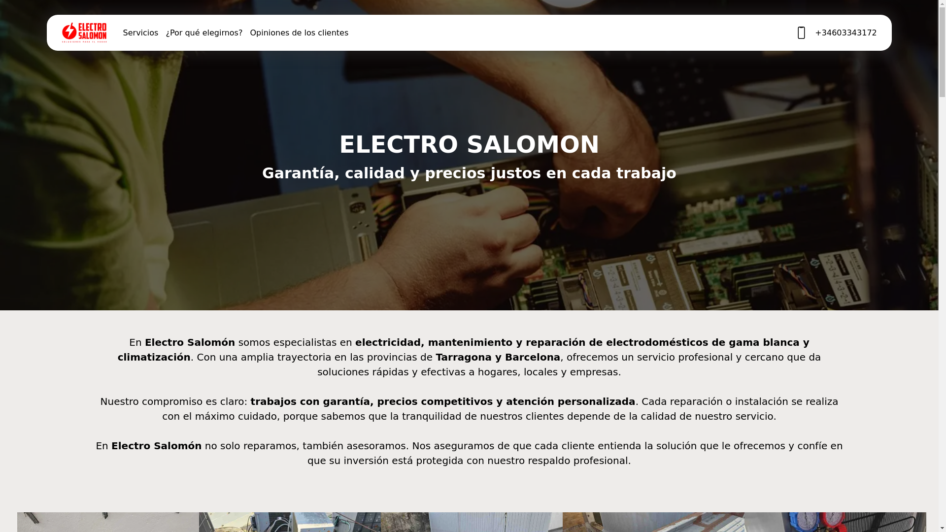 website screenshot of https://electrosalomon.es/