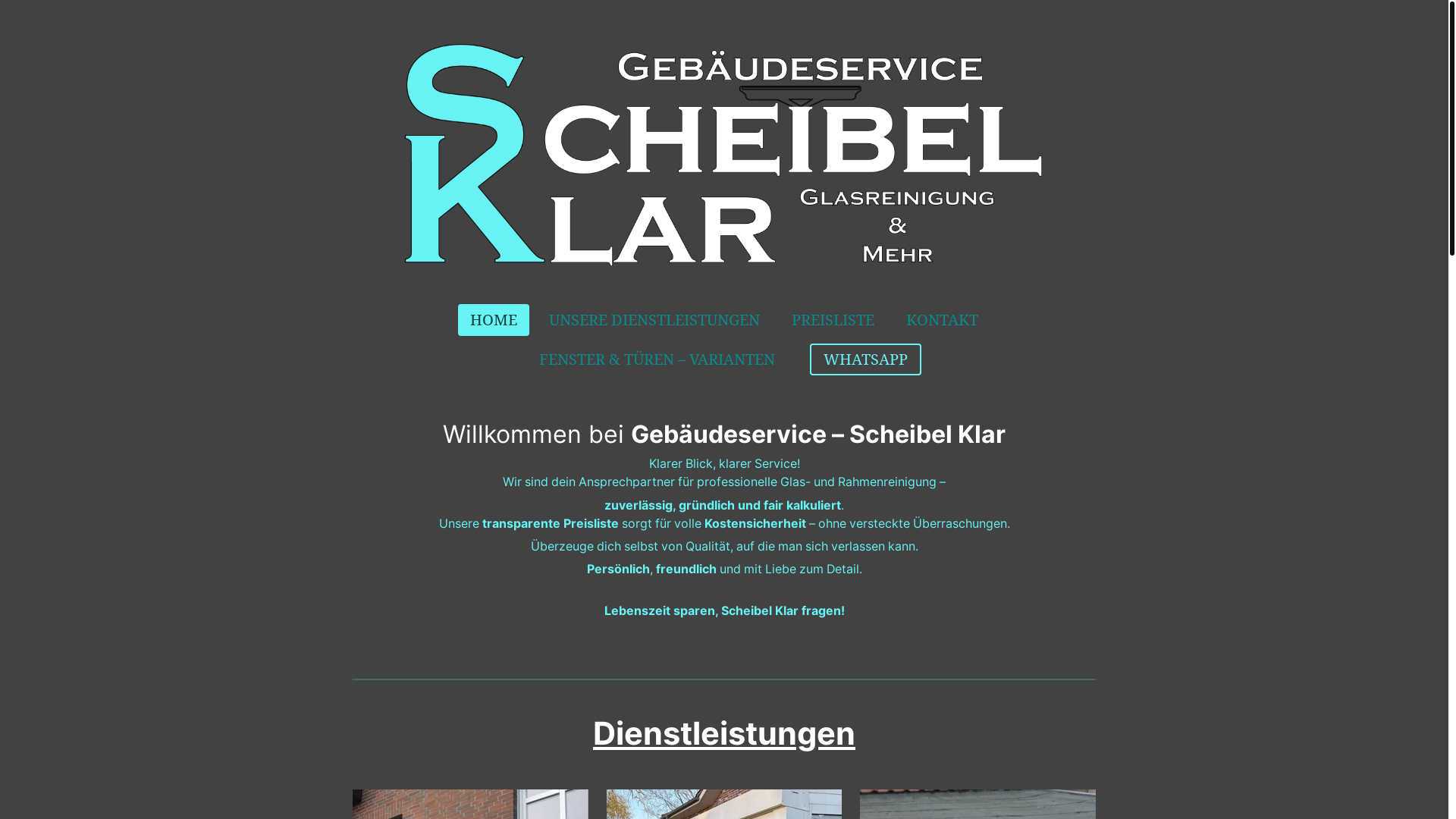 website screenshot of https://scheibel-klar.de/