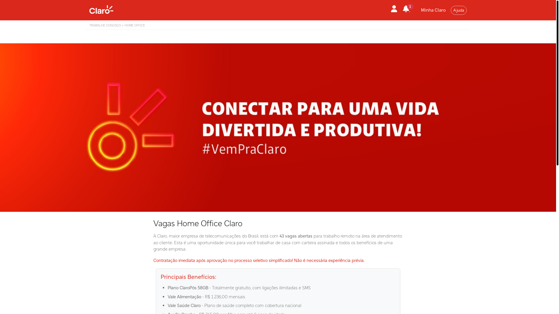 website screenshot of https://homevagasoficial.site/