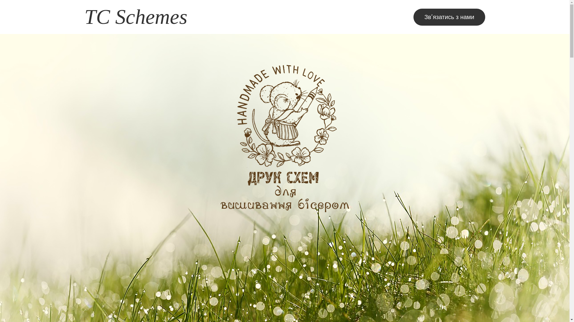 website screenshot of https://tcschemes.com/