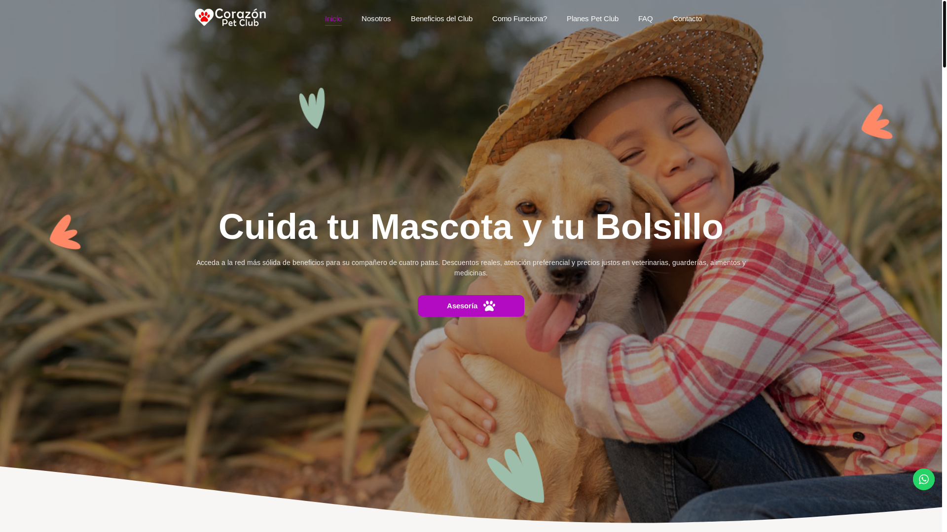 website screenshot of https://corazonpetclub.com/