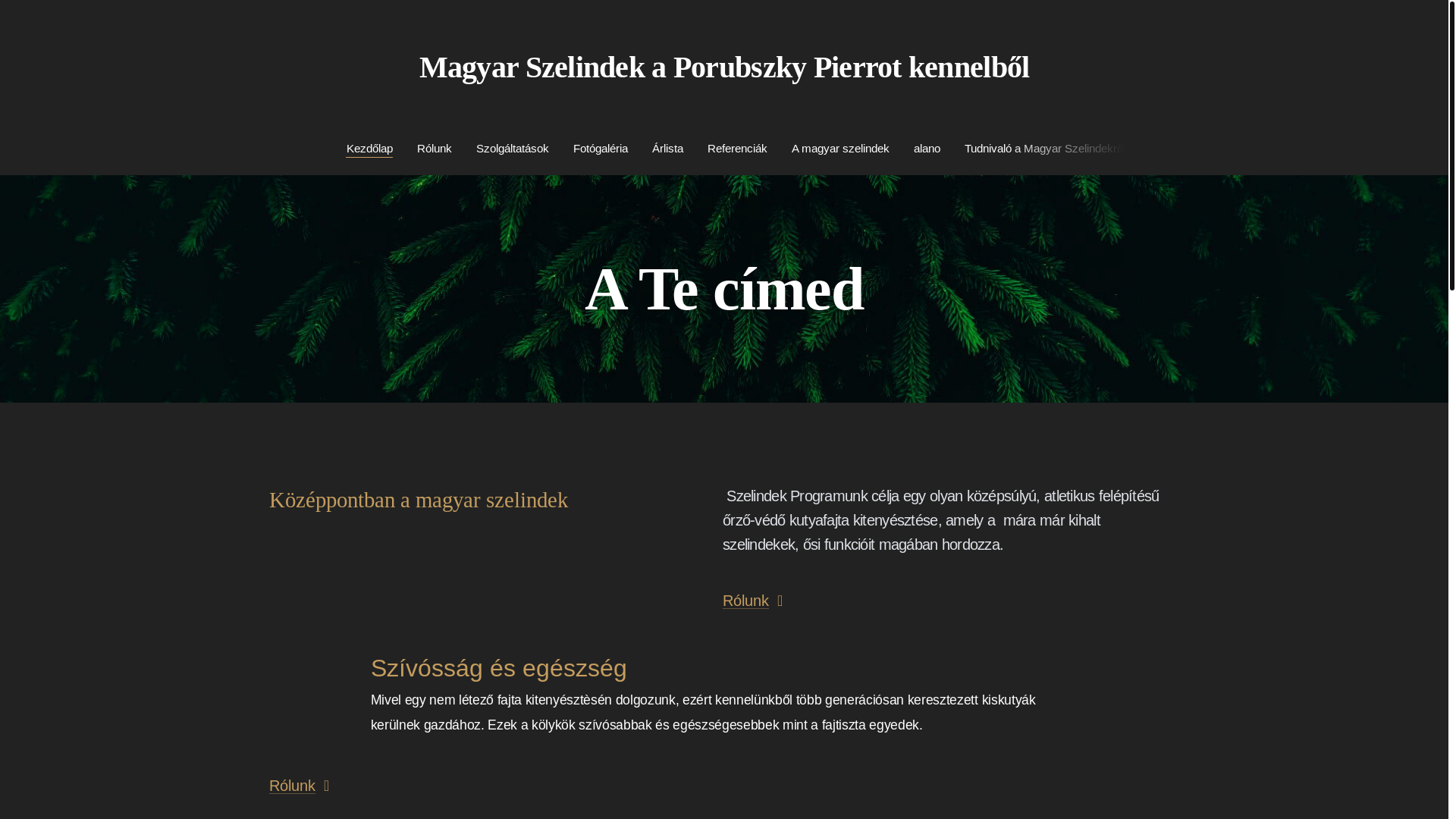 website screenshot of https://silanduk.com/