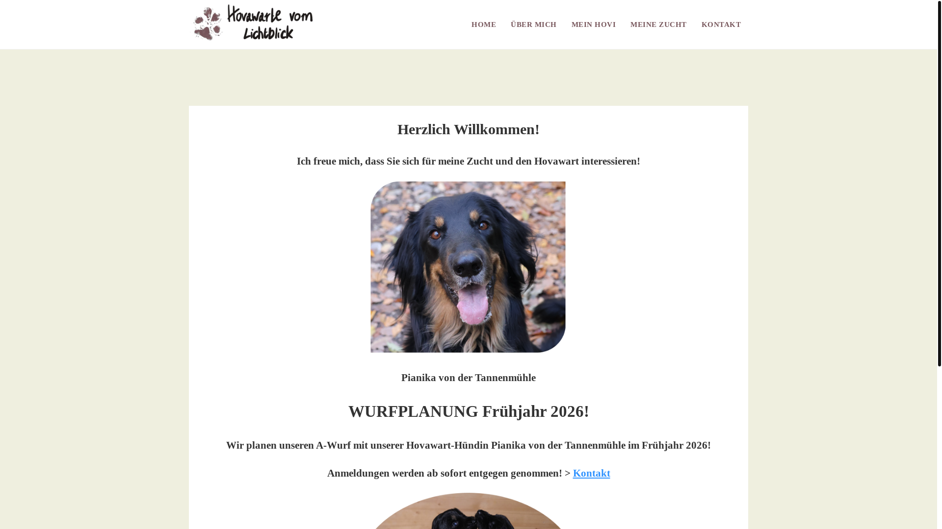 website screenshot of https://vom-lichtblick.at/