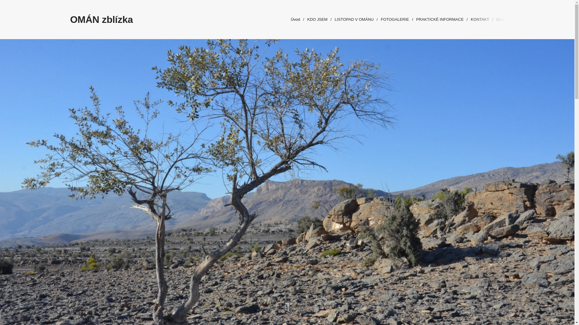 website screenshot of https://omanzblizka.cz/