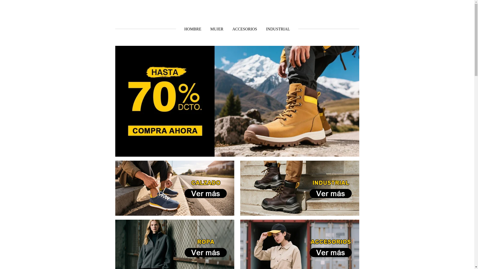 website screenshot of https://shoezapatilla.com/