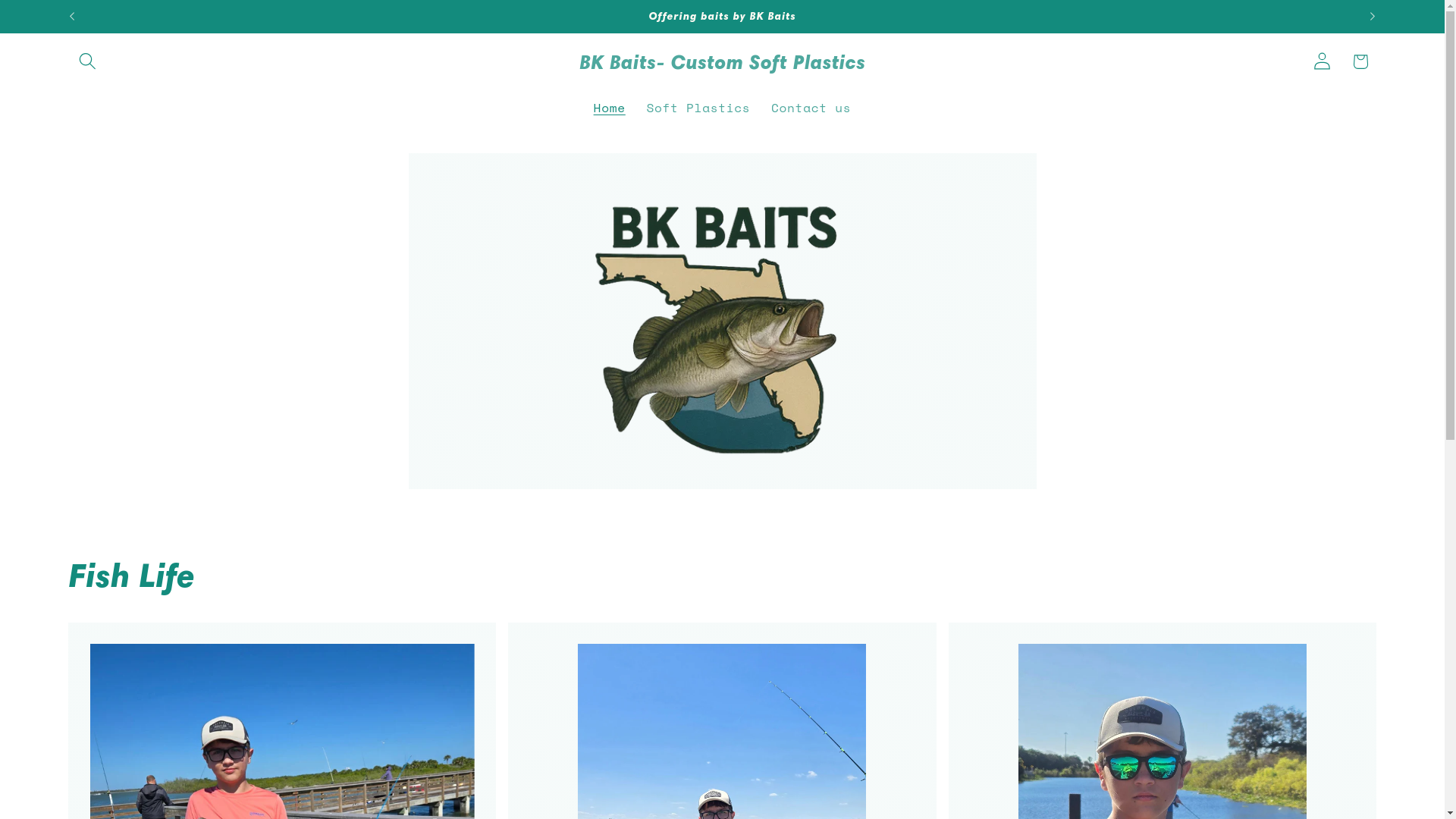 website screenshot of https://bkbaitstore.com/