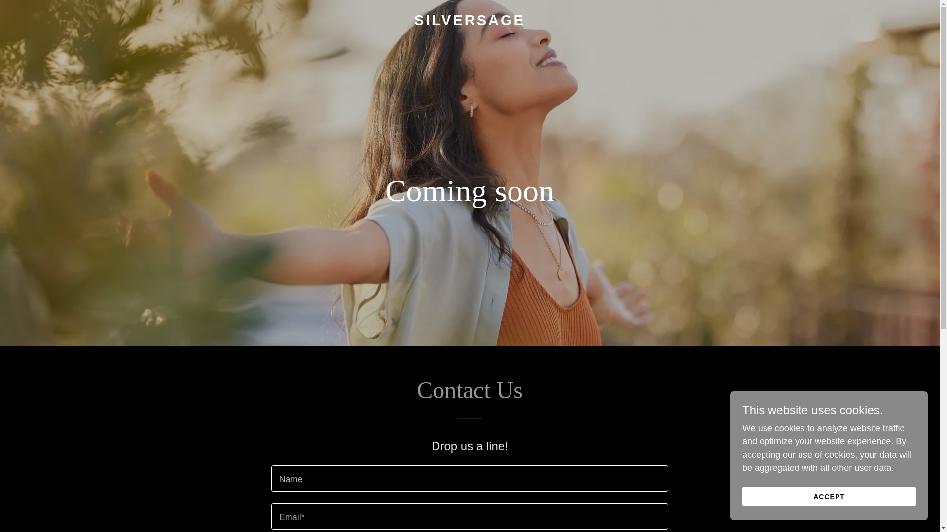 website screenshot of https://silversage.life/