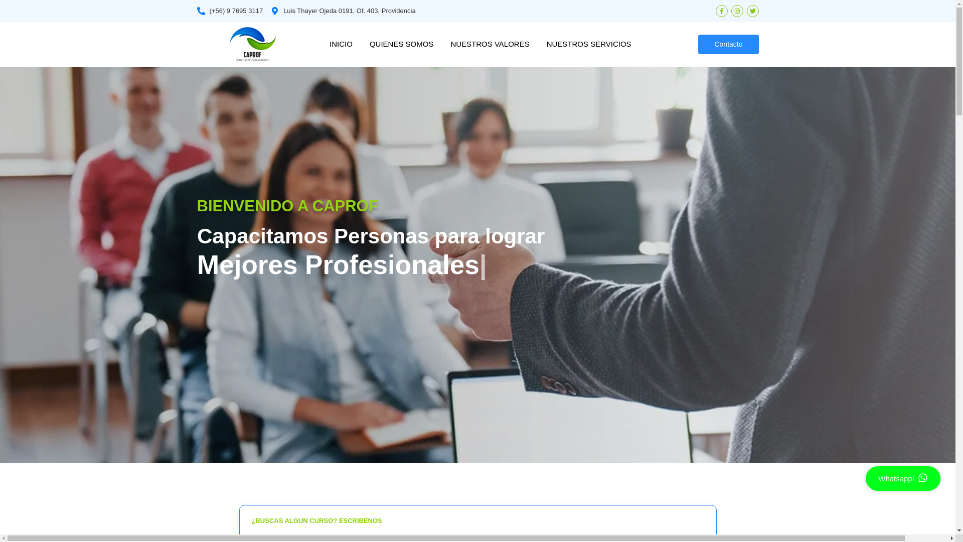 website screenshot of https://eligeselecto.cl/