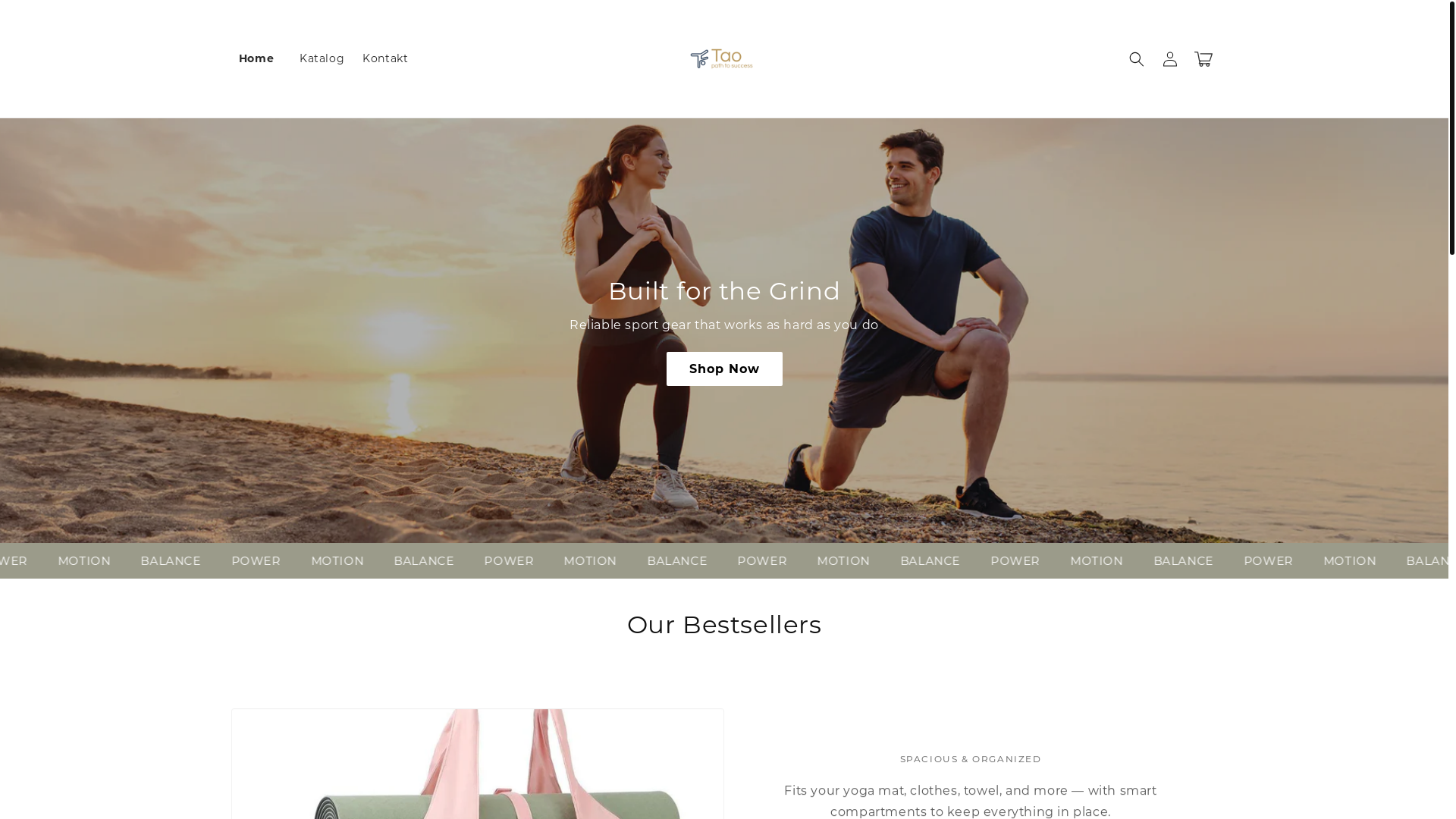 website screenshot of https://path-to-success.store/