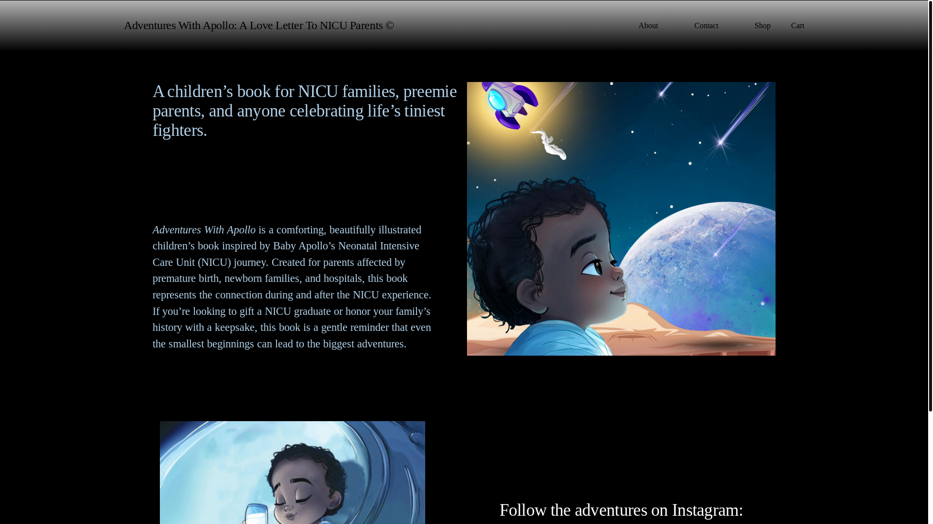 website screenshot of https://adventureswithapollo.com/