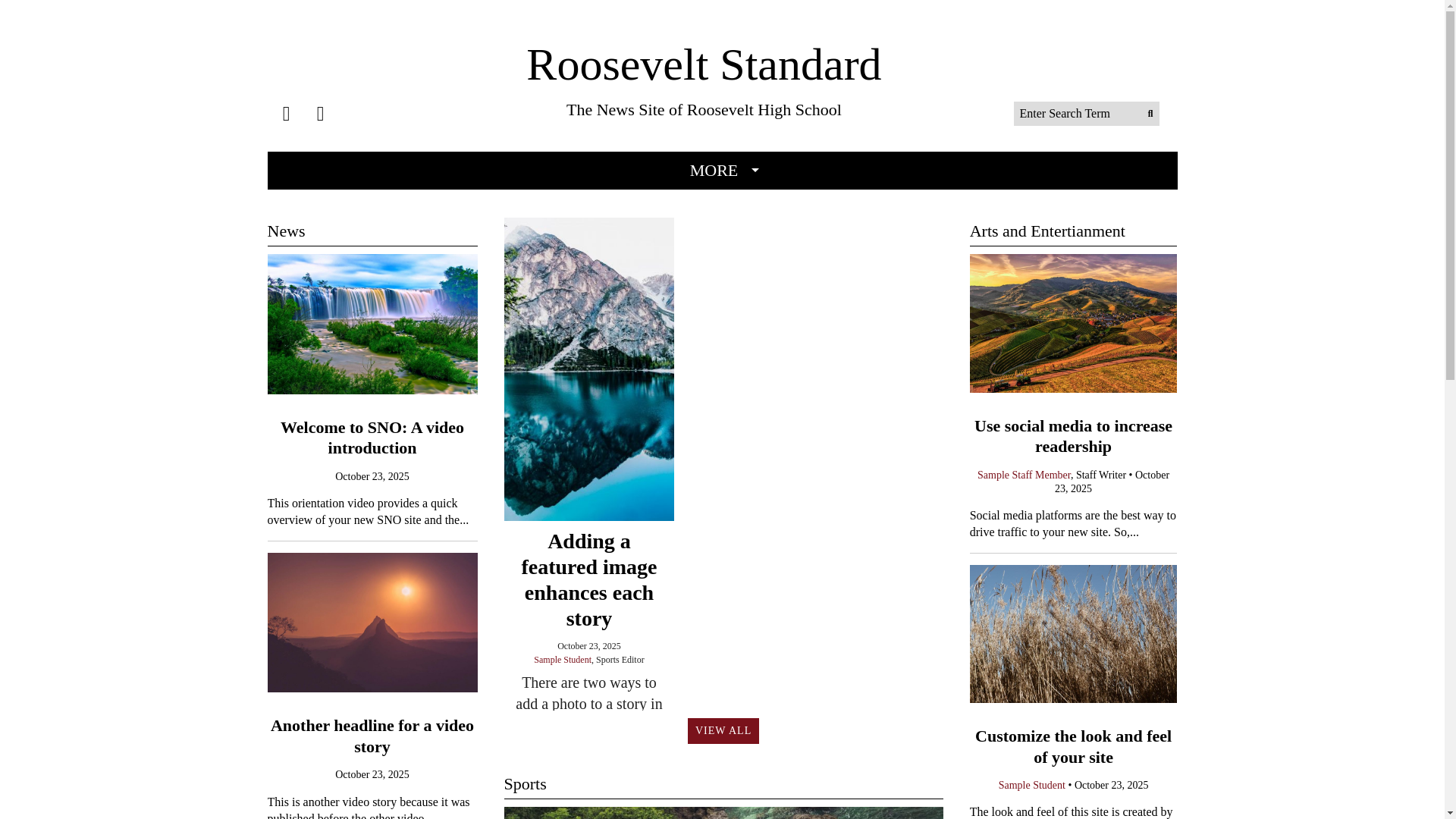 website screenshot of https://rooseveltstandard.com/