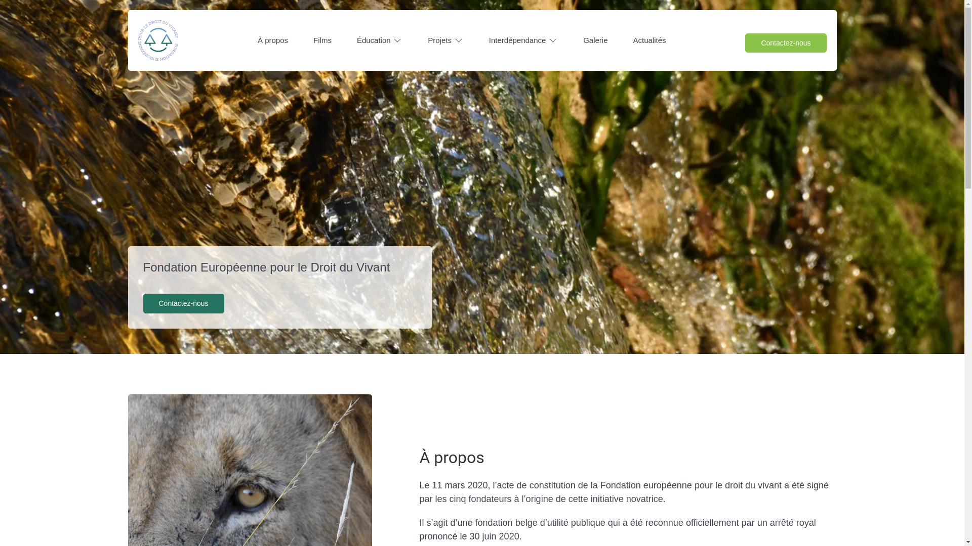 website screenshot of https://fondation-europeenne-pour-le-droit-du-vivant.eu/