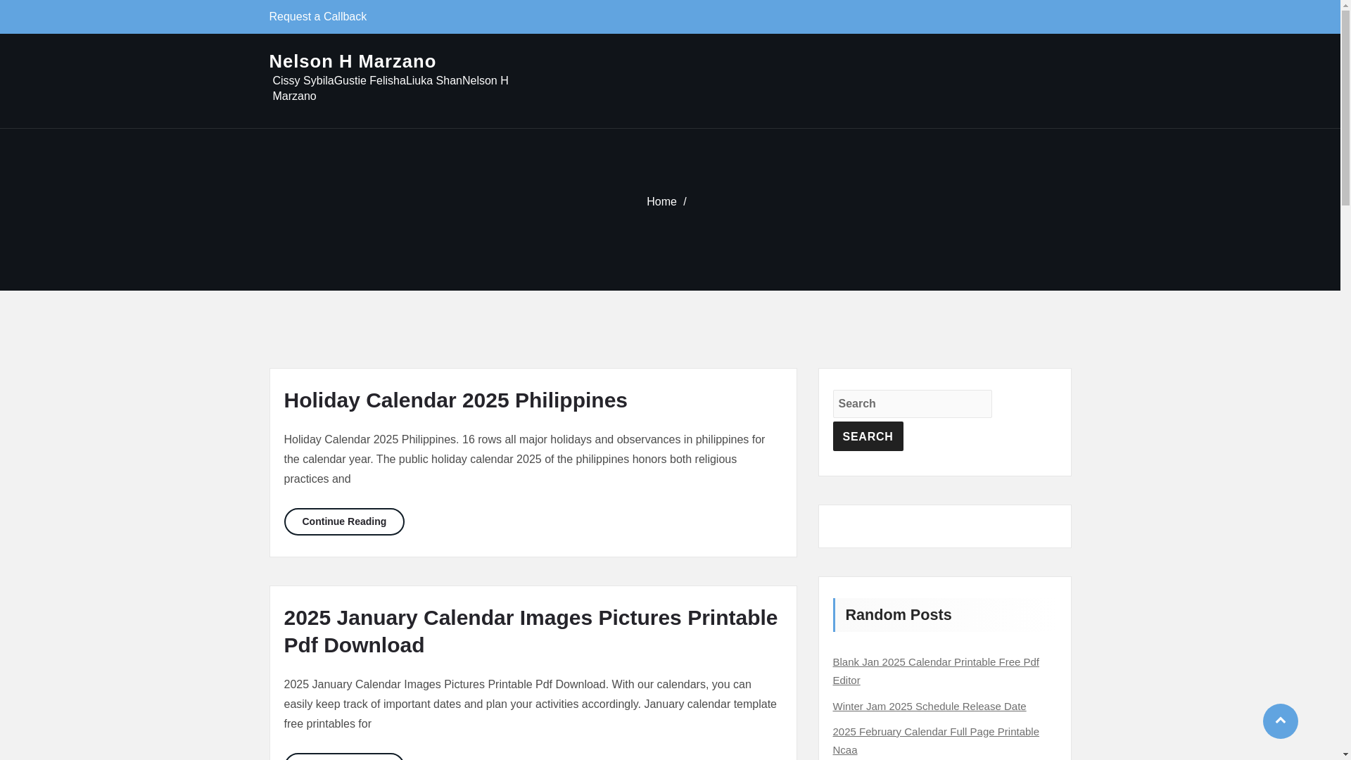 website screenshot of https://nelsonhmarzanol.pages.dev/