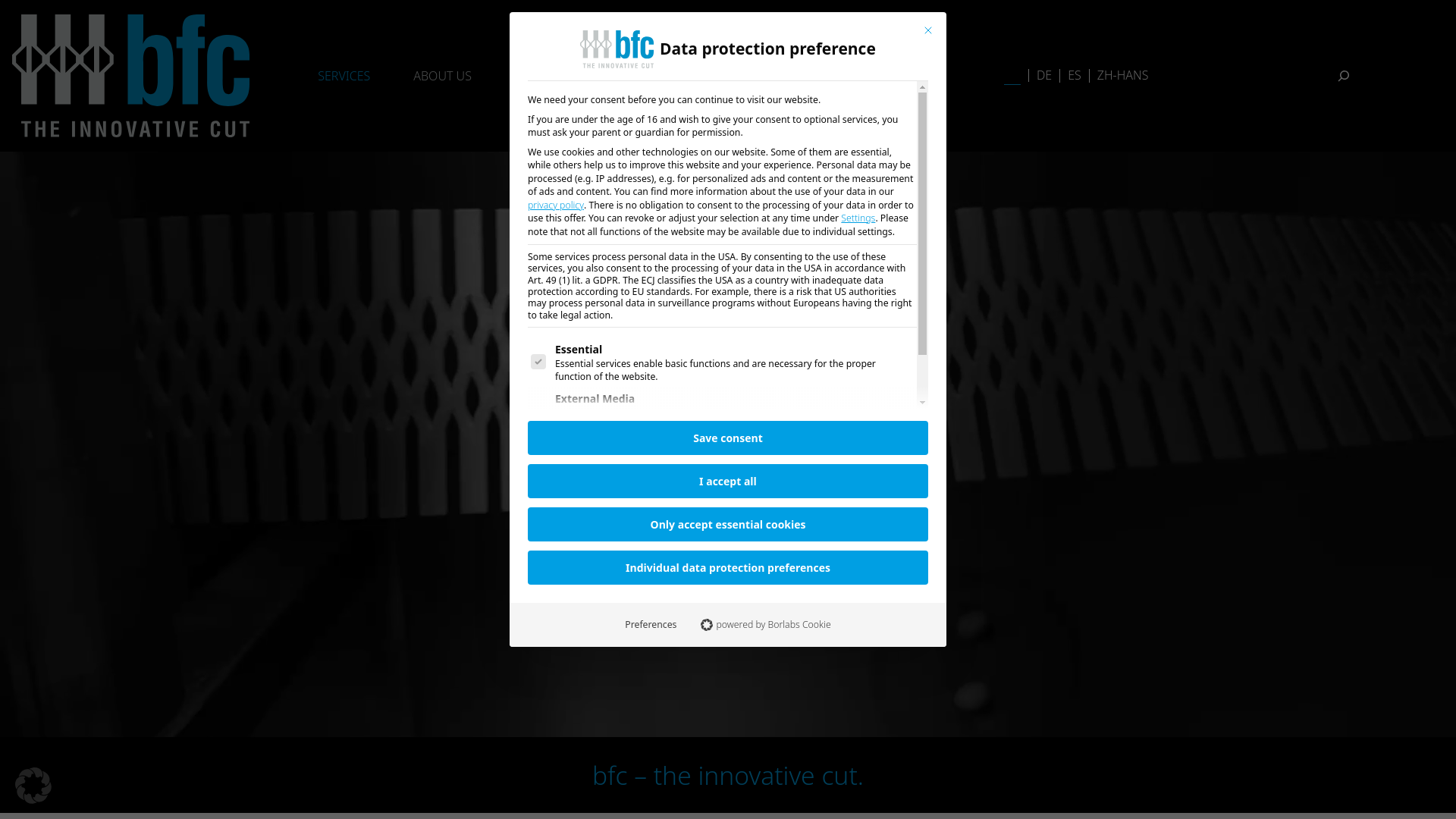website screenshot of https://bfc-profile.com/services/#ANWENDUNGSBEREICHE