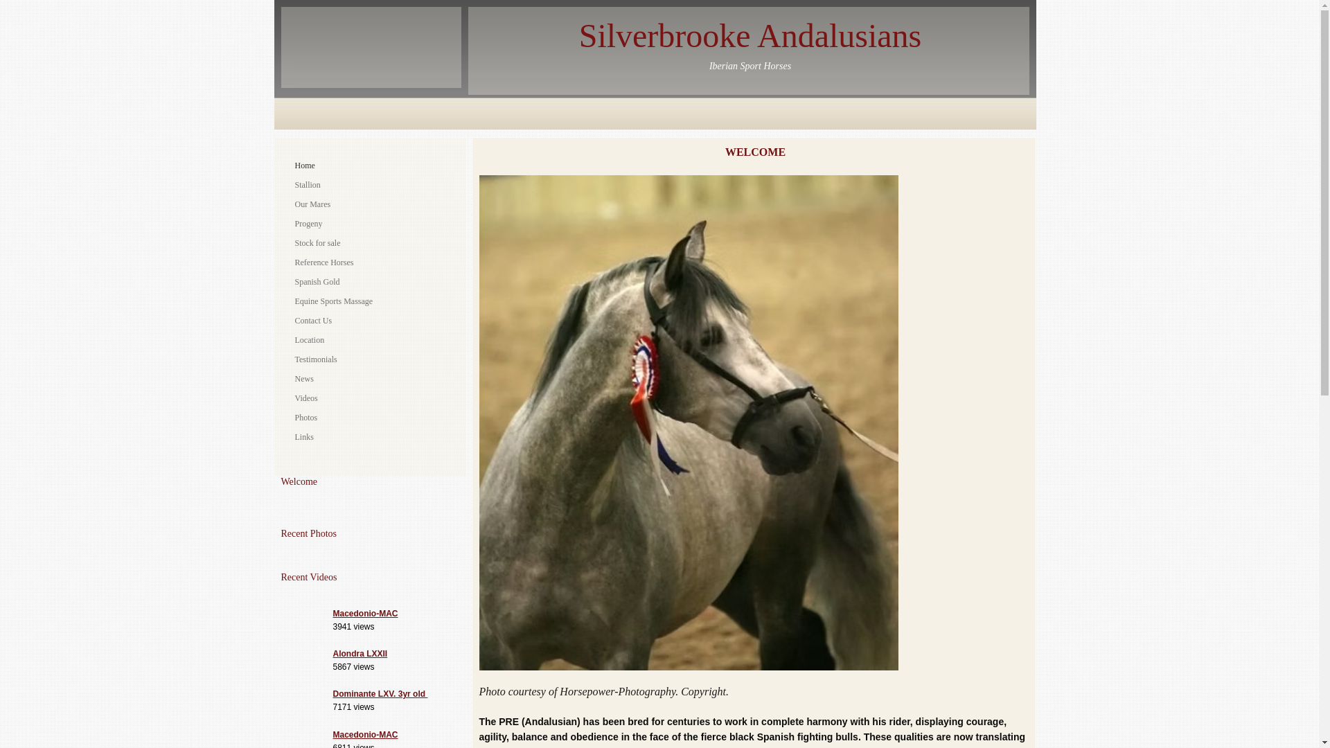 website screenshot of https://silverbrookeandalusians.co.uk/
