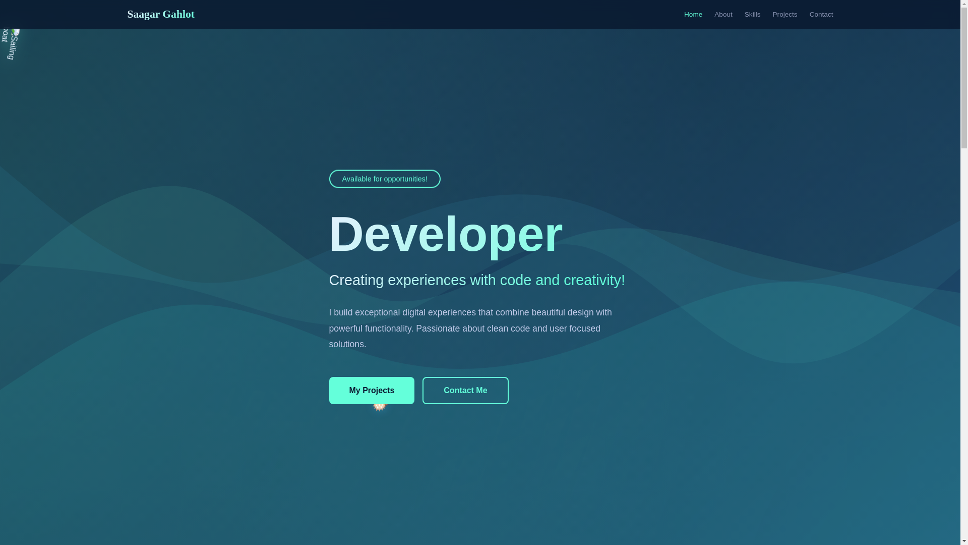 website screenshot of https://saagargahlot.com/