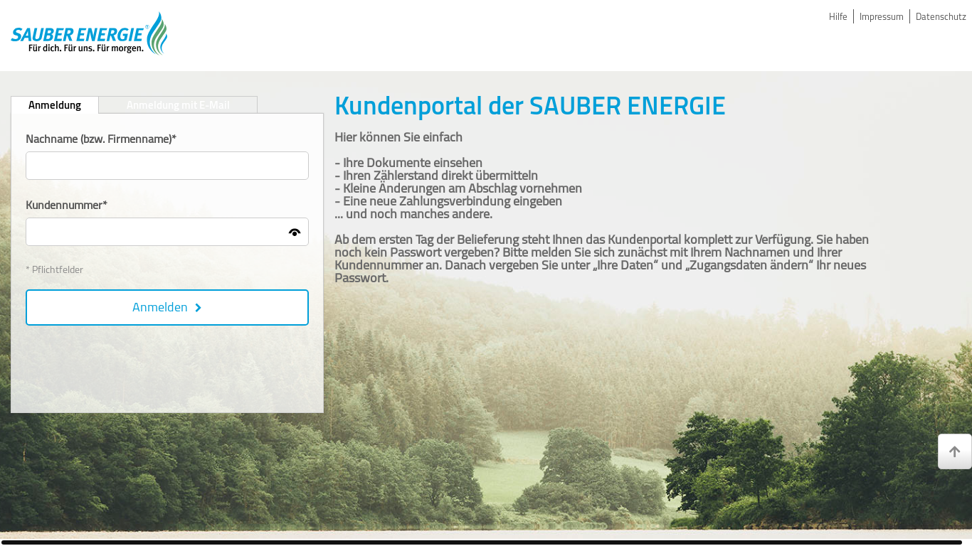 website screenshot of https://onlineservice.service-rz.de/?act=login&werknr=18#email