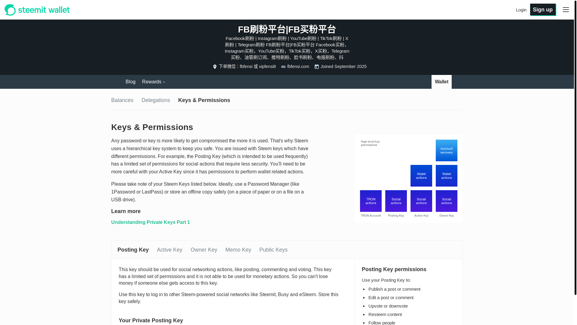 website screenshot of https://steemitwallet.com/@fbfensi/permissions