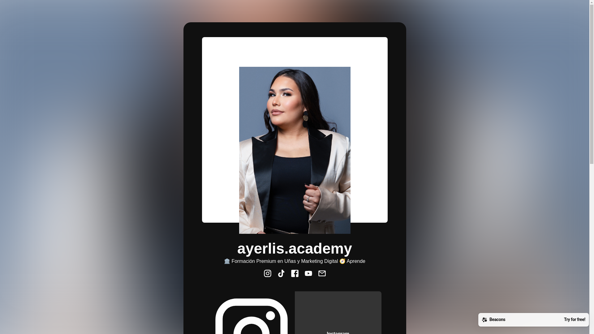 website screenshot of https://ayerlisacademy.com/