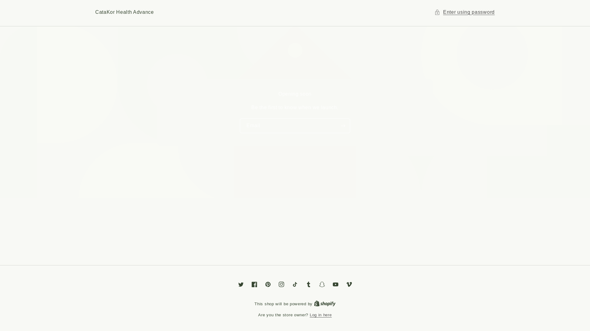 website screenshot of https://catakoradvance.com/