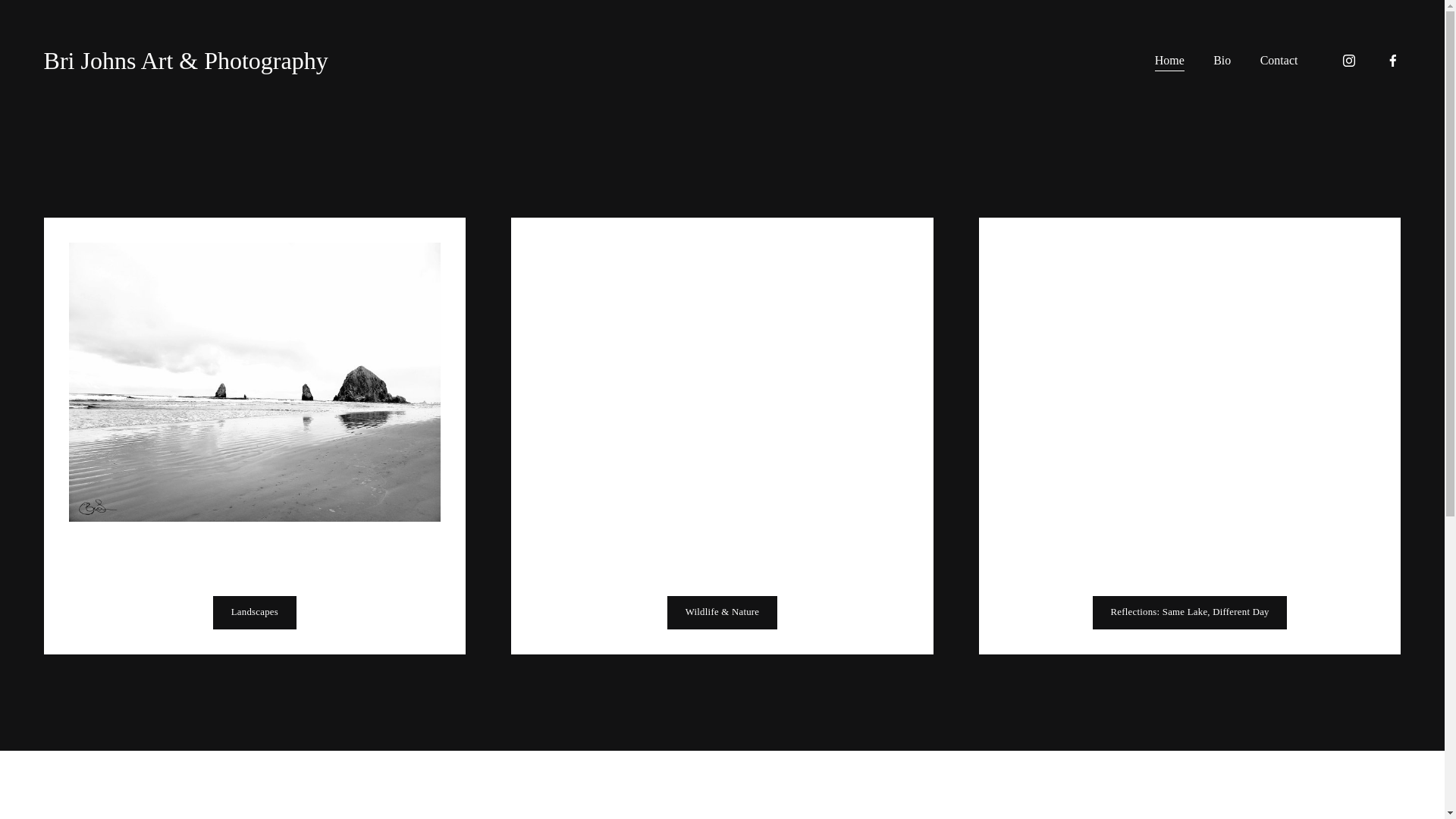website screenshot of https://bri-johns-art.com/