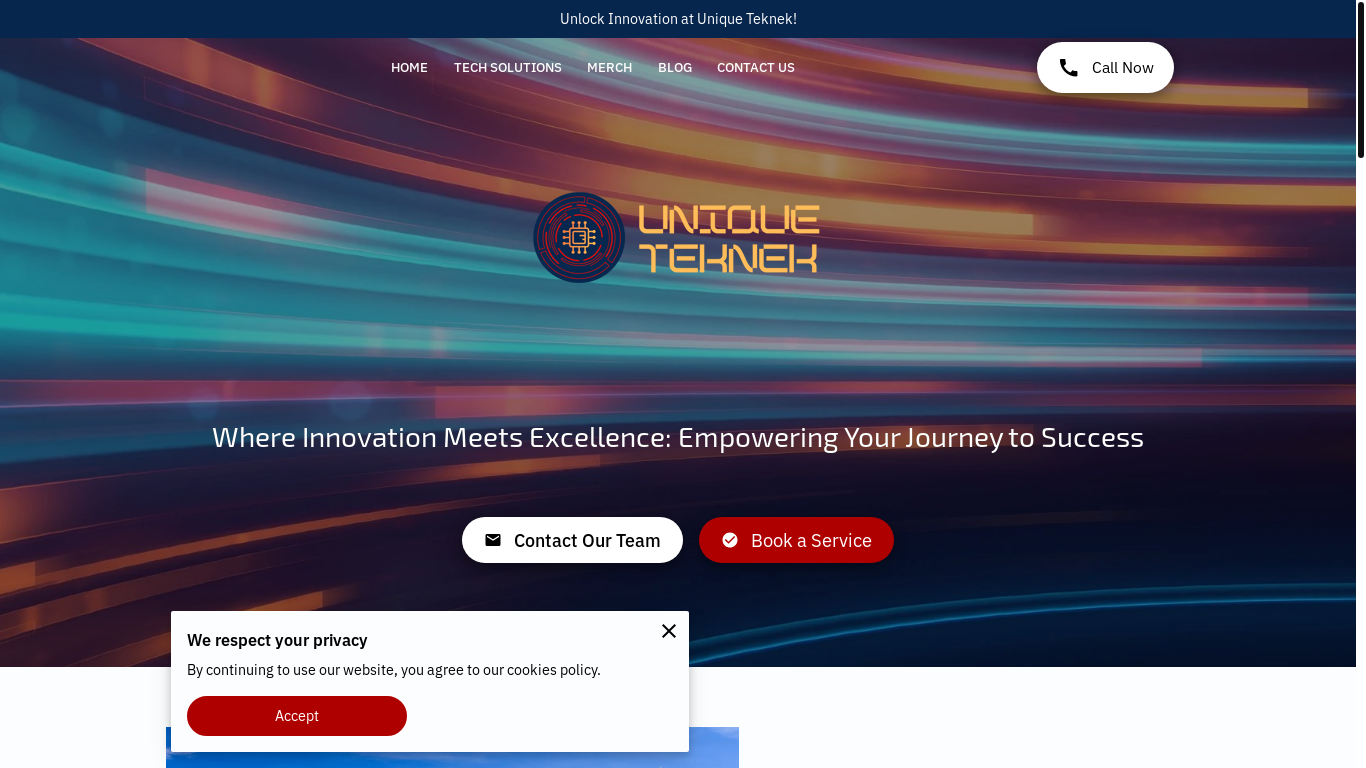 website screenshot of https://uniqueteknek.com/