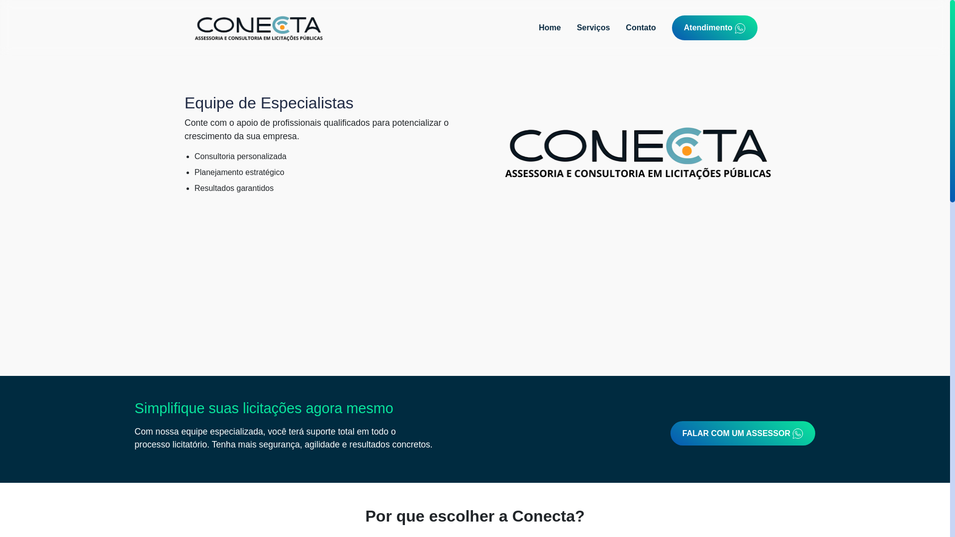 website screenshot of https://conectalicitacao.com.br/
