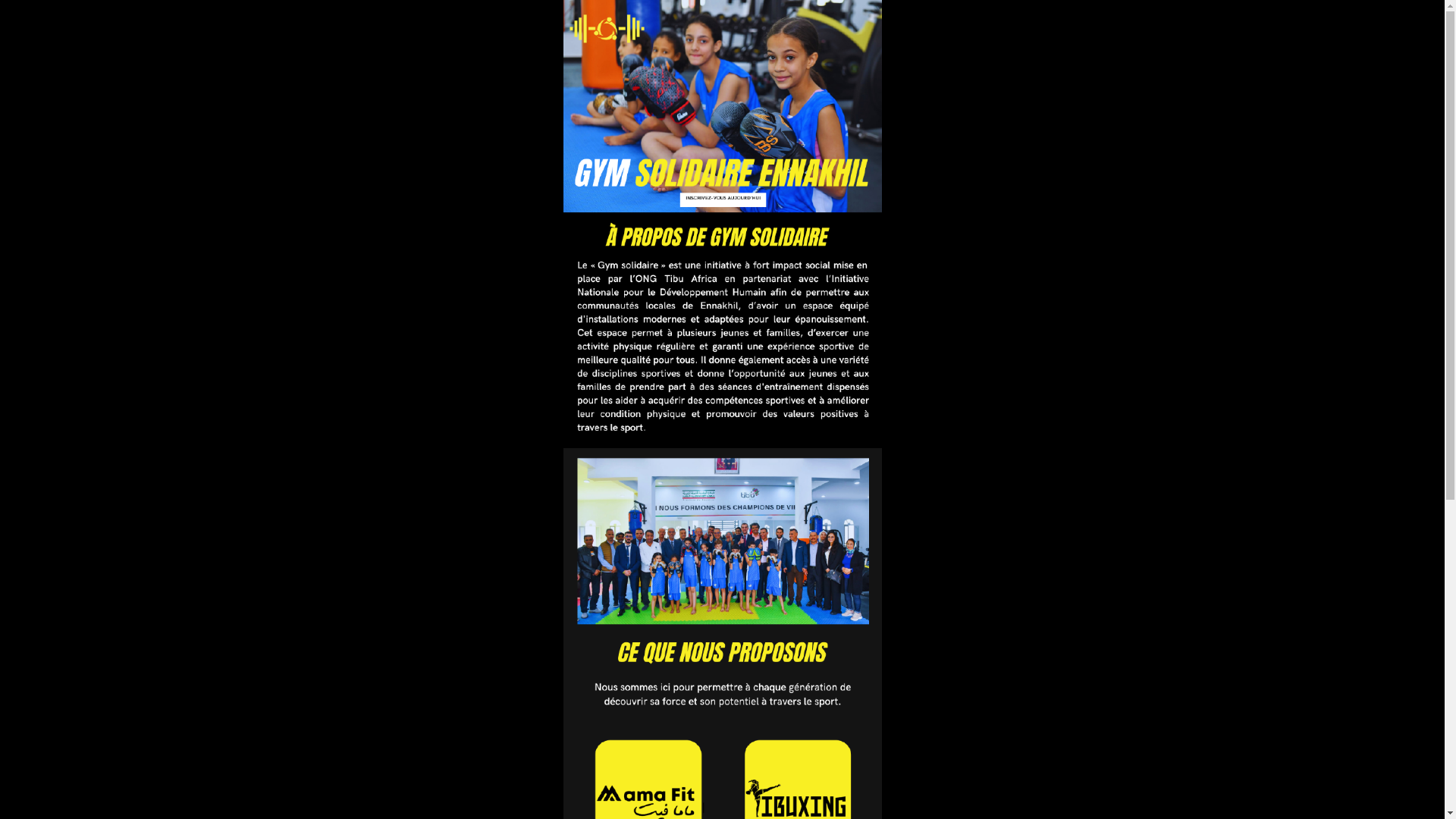 website screenshot of https://gymsolidaire.com/